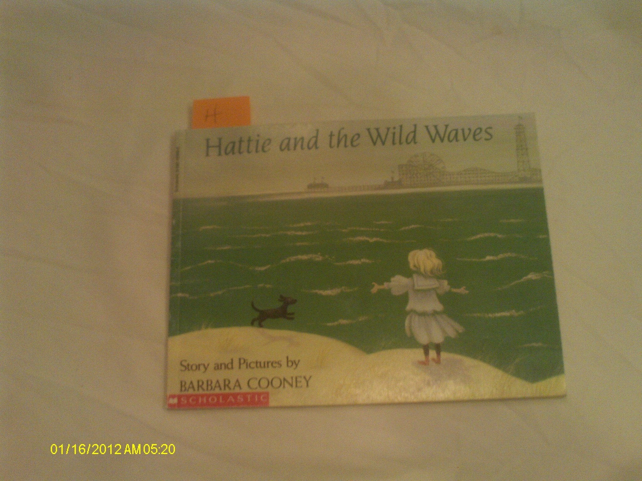 Hattie and the Wild Waves: A Story From Brooklyn (Picture Puffins),Used