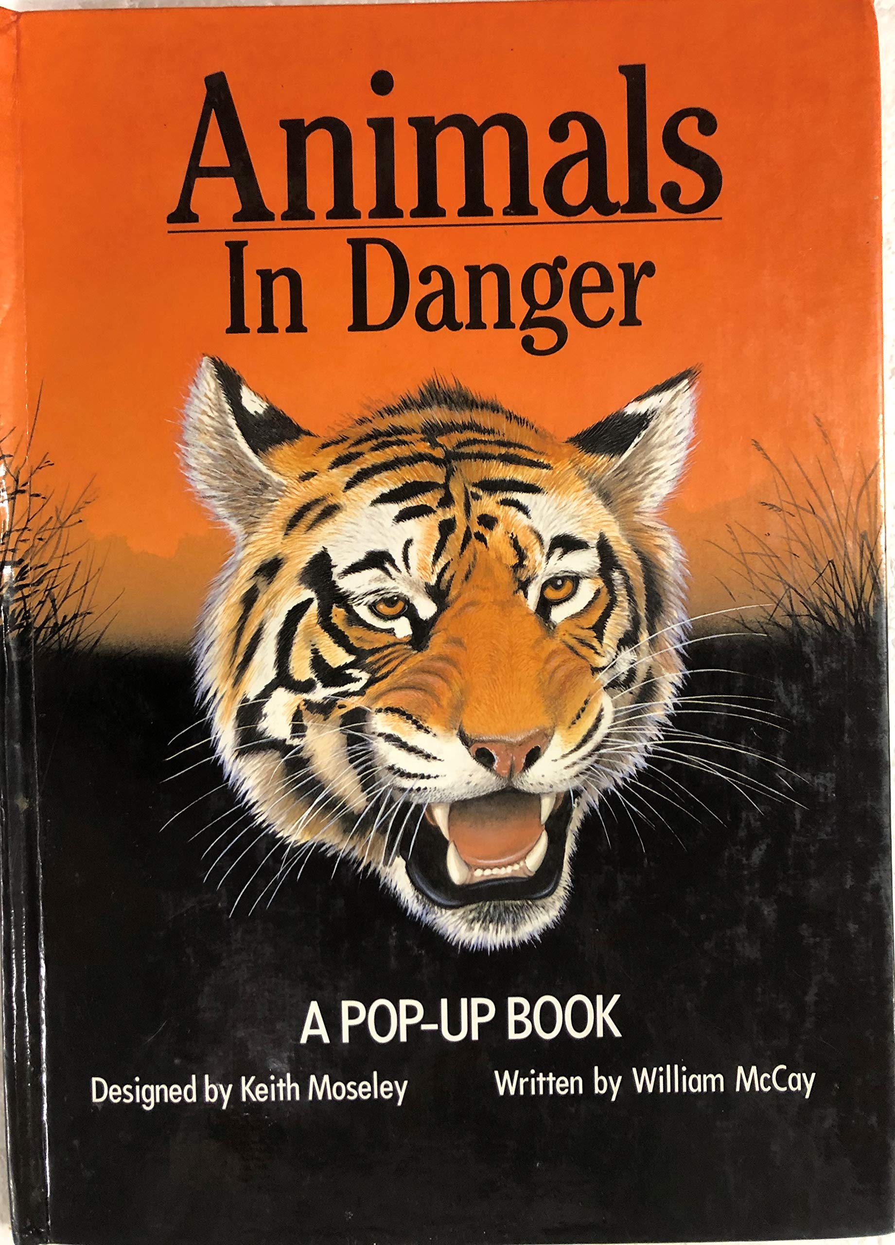 Animals in Danger Popup Book,Used