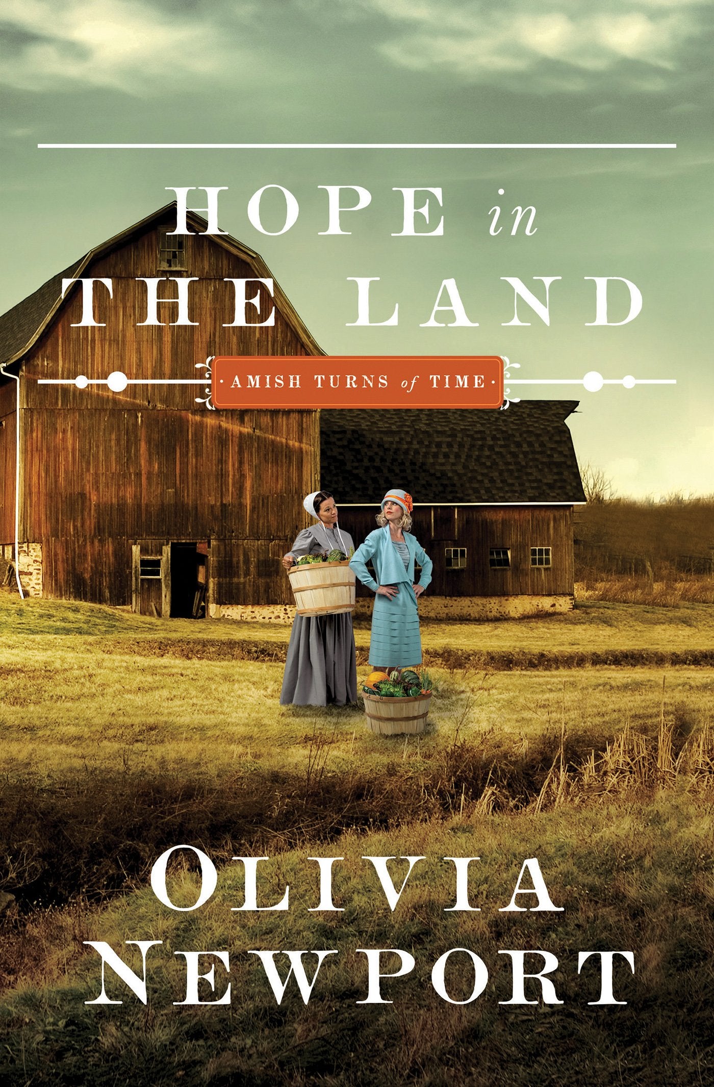 Hope in the Land (Volume 4) (Amish Turns of Time),Used