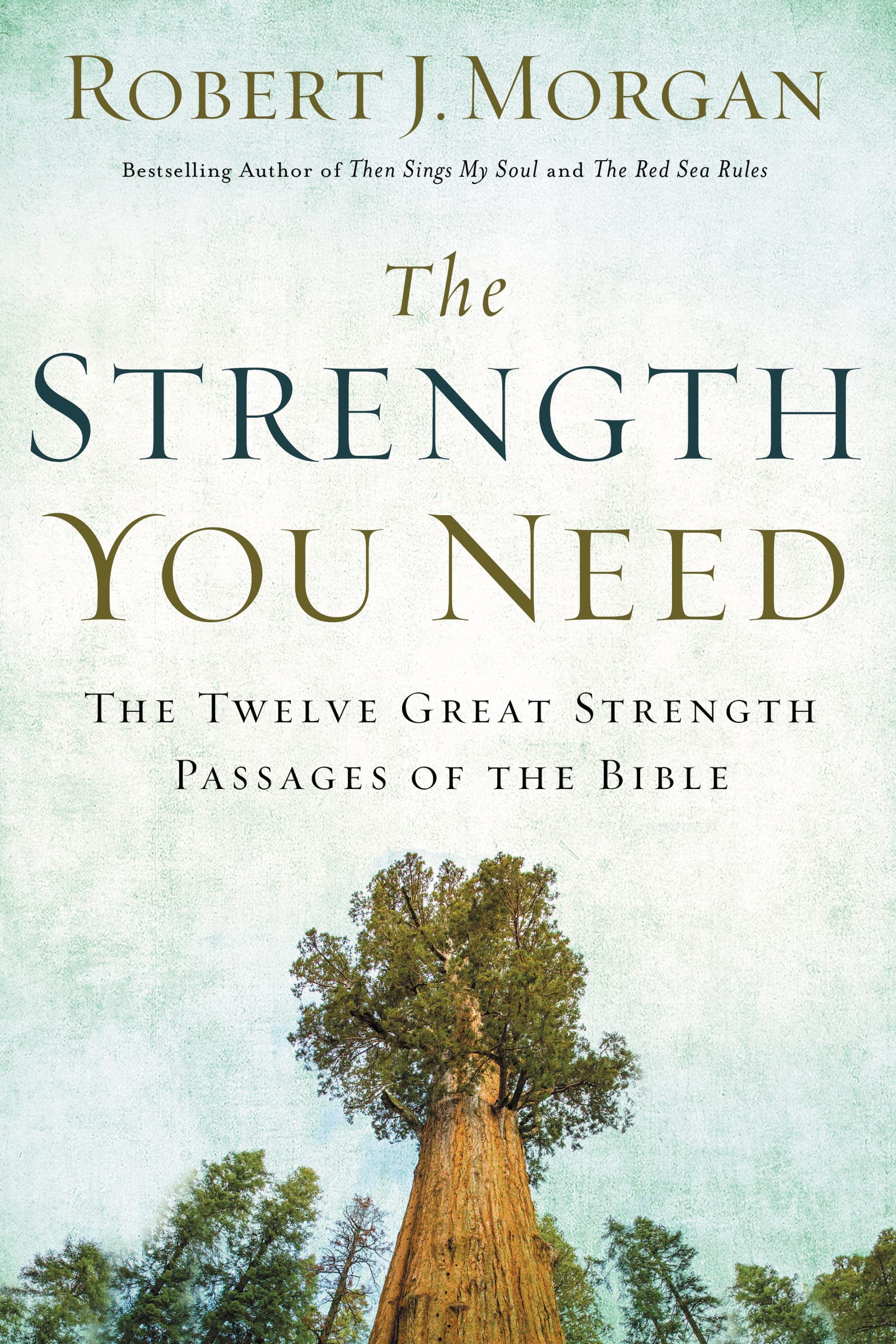 The Strength You Need: The Twelve Great Strength Passages of the Bible,Used