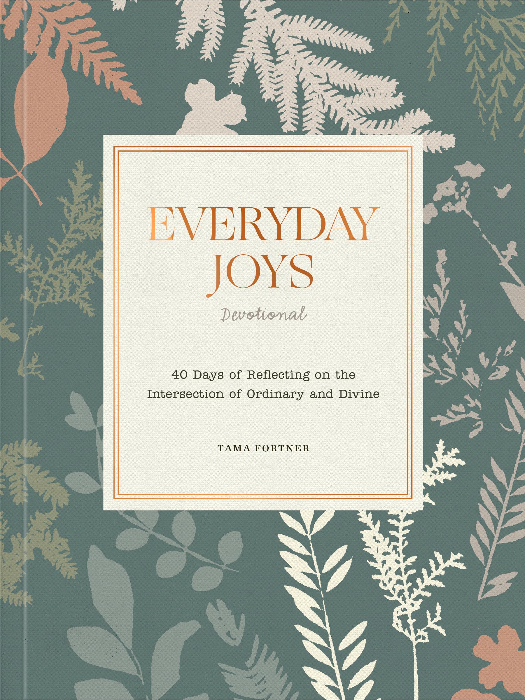 Everyday Joys Devotional: 40 Days of Reflecting on the Intersection of Ordinary and Divine,Used