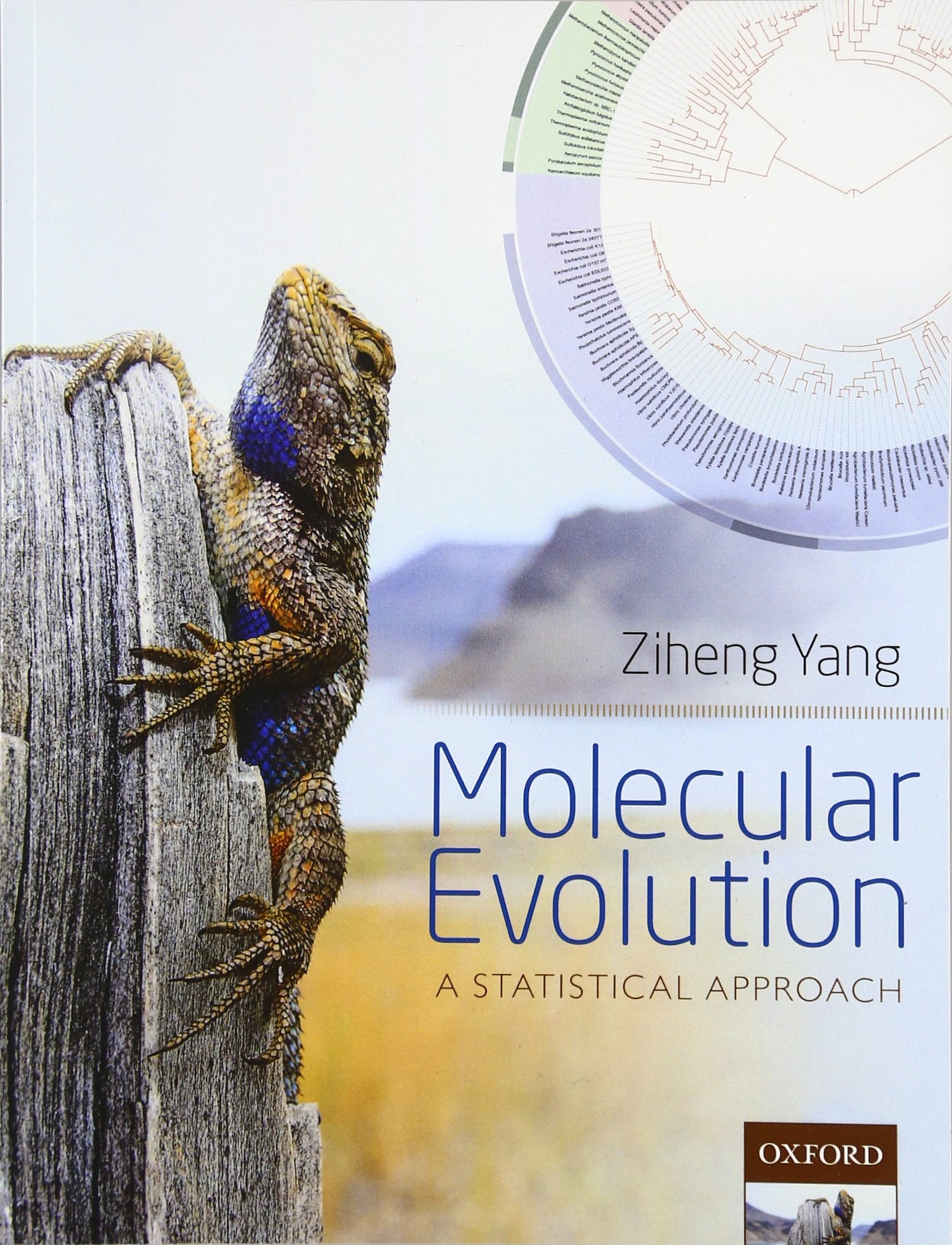 Molecular Evolution: A Statistical Approach,Used
