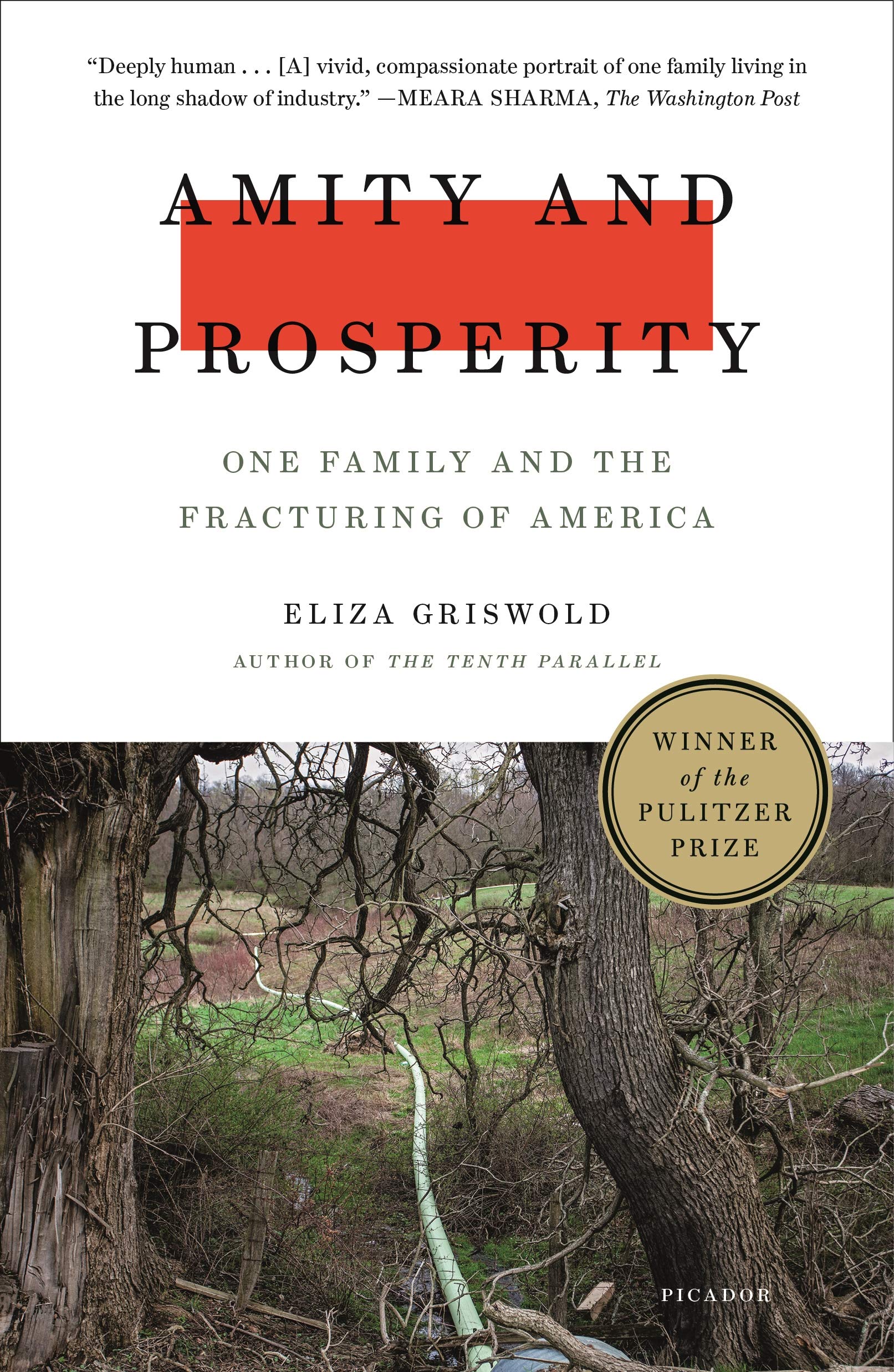 Amity and Prosperity: One Family and the Fracturing of America,New
