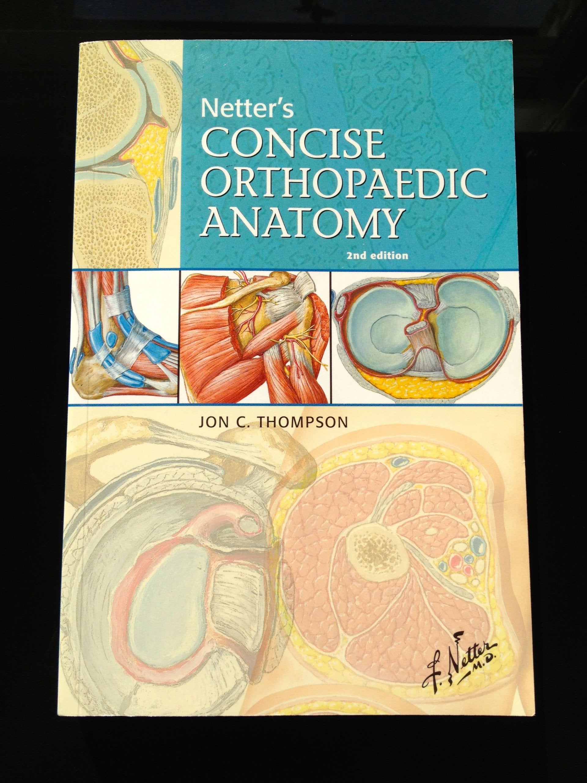 Netter's Concise Orthopaedic Anatomy (Netter Basic Science),Used