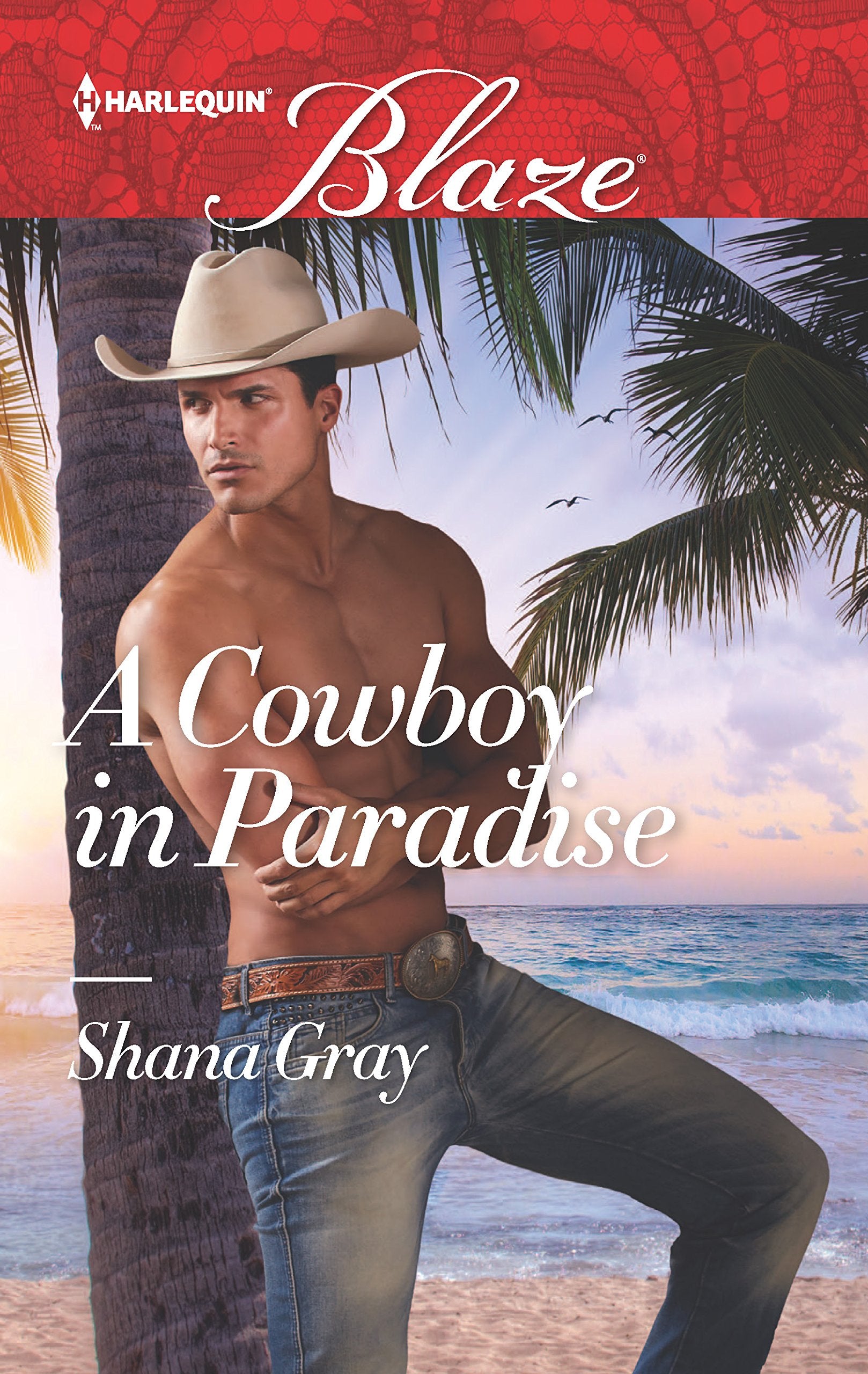 A Cowboy in Paradise (Harlequin Blaze),Used