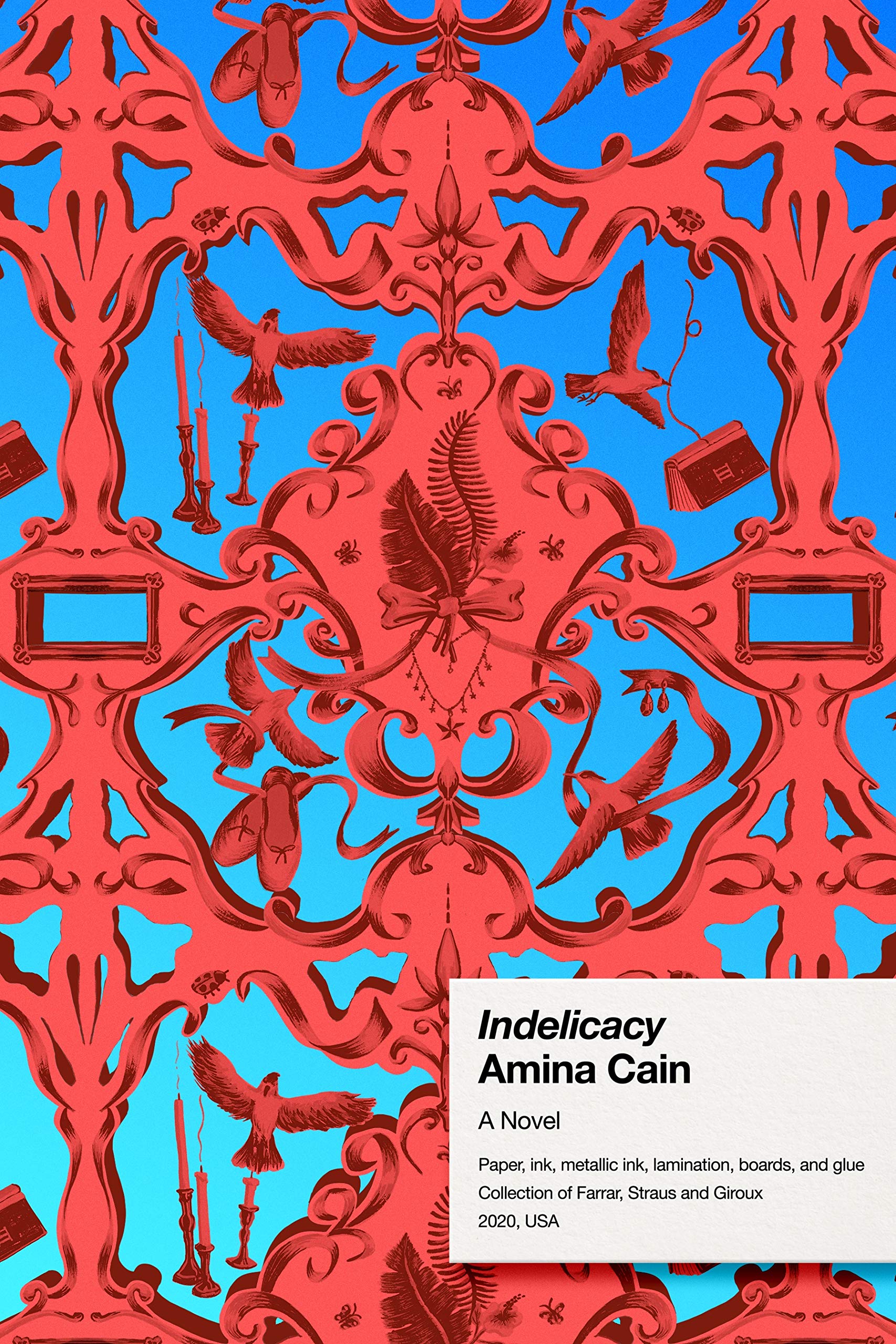 Indelicacy: A Novel,Used