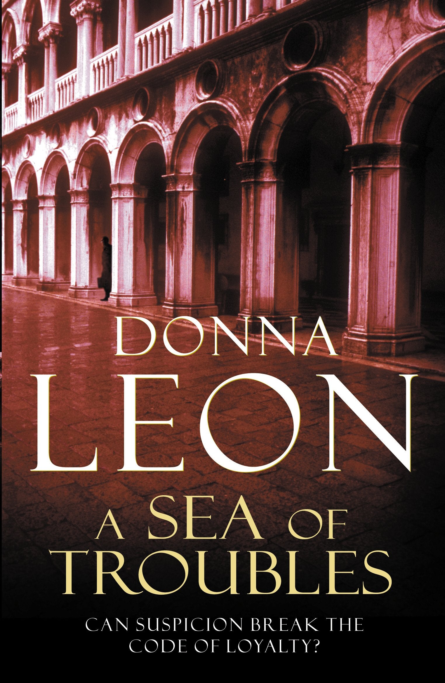 SEA OF TROUBLES, A (Brunetti),Used