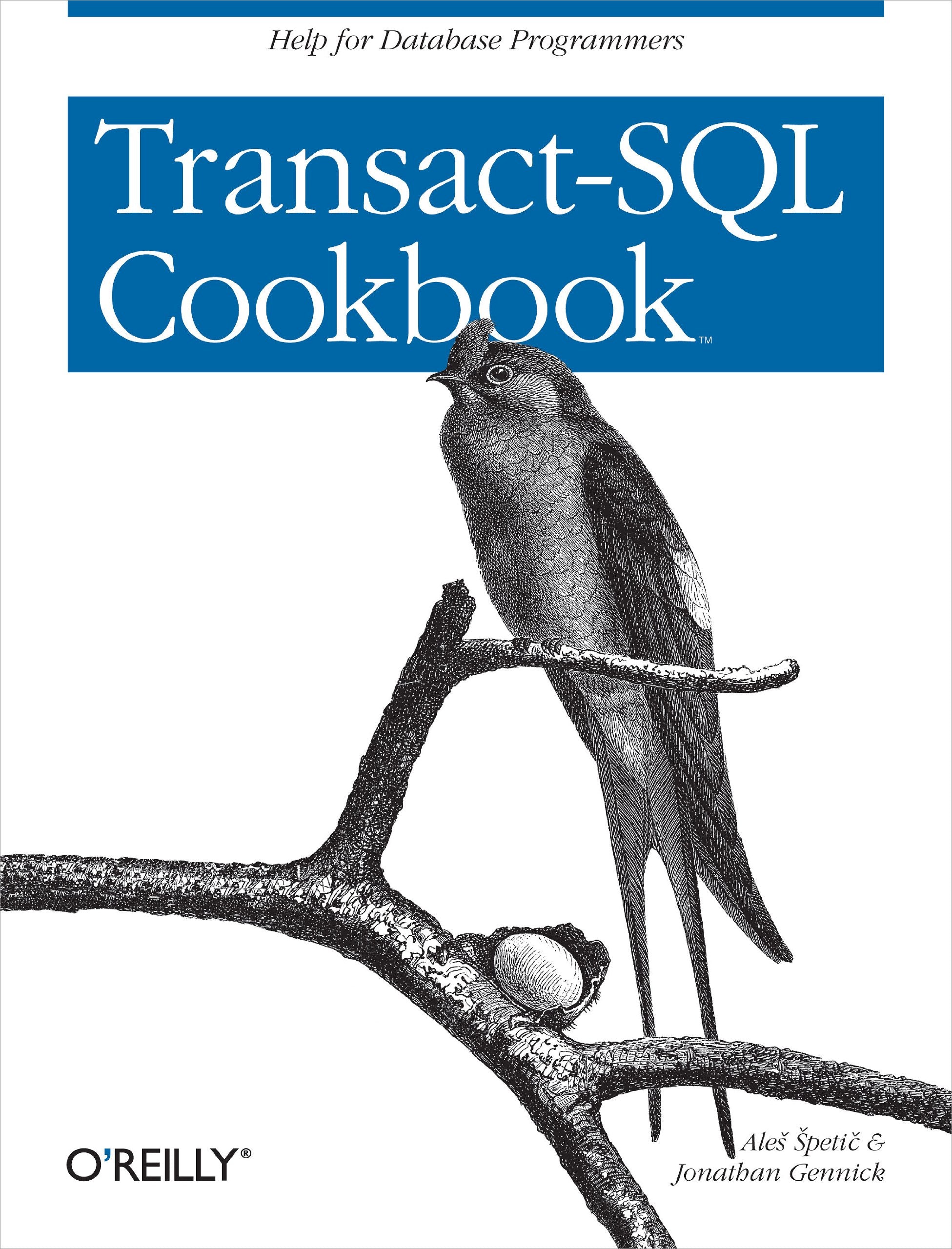 TransactSQL Cookbook: Help for Database Programmers,New