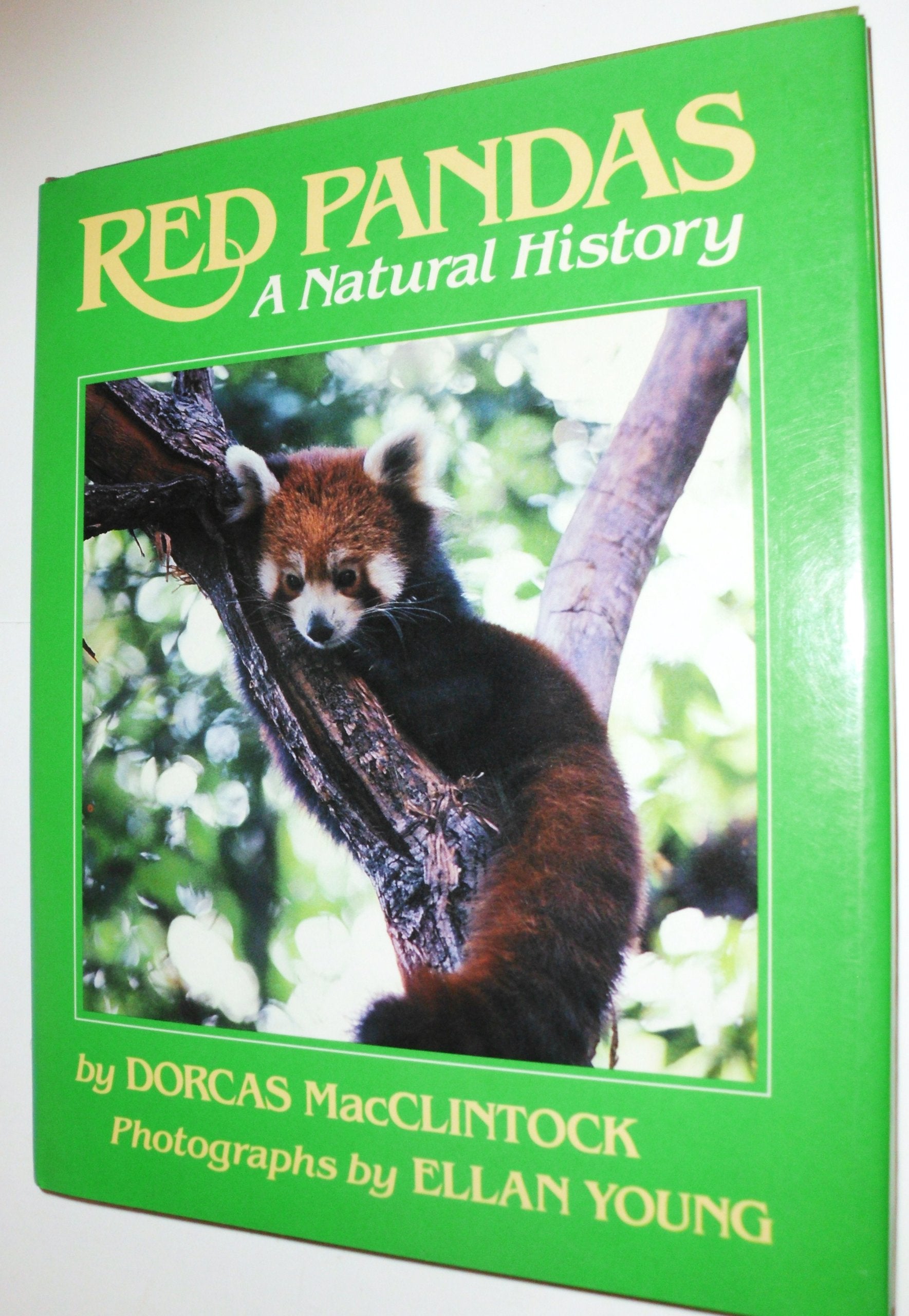 Red Pandas: A Natural History,Used