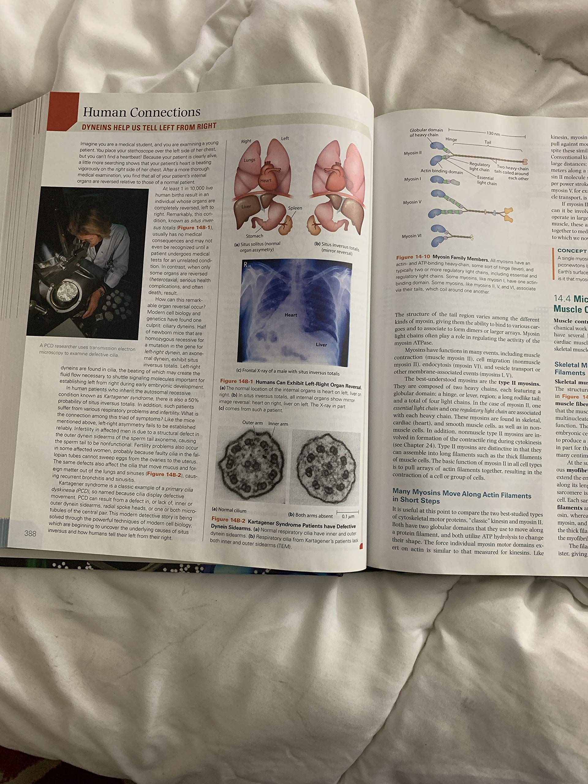 Becker's World of the Cell,New