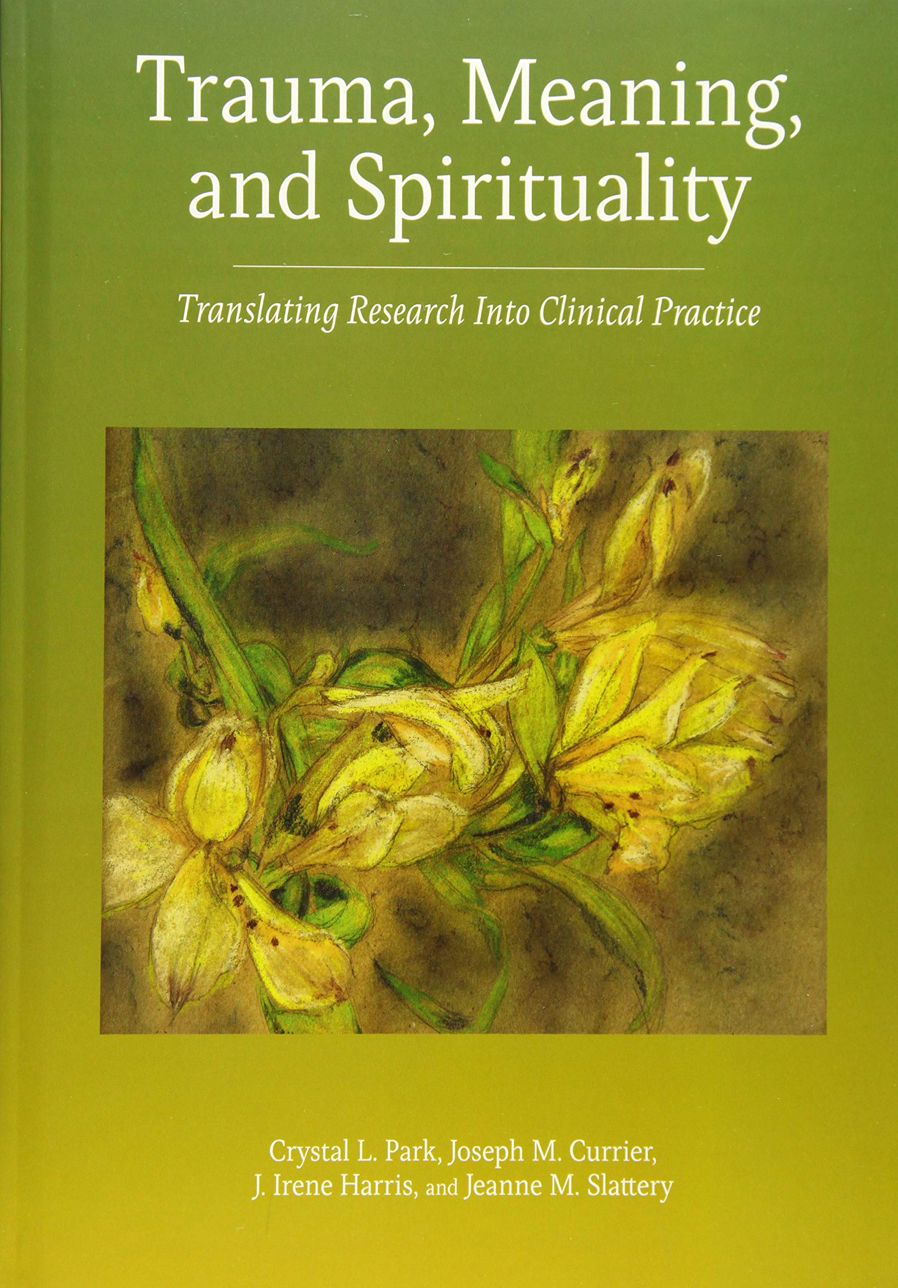 Trauma, Meaning, and Spirituality: Translating Research into Clinical Practice,Used