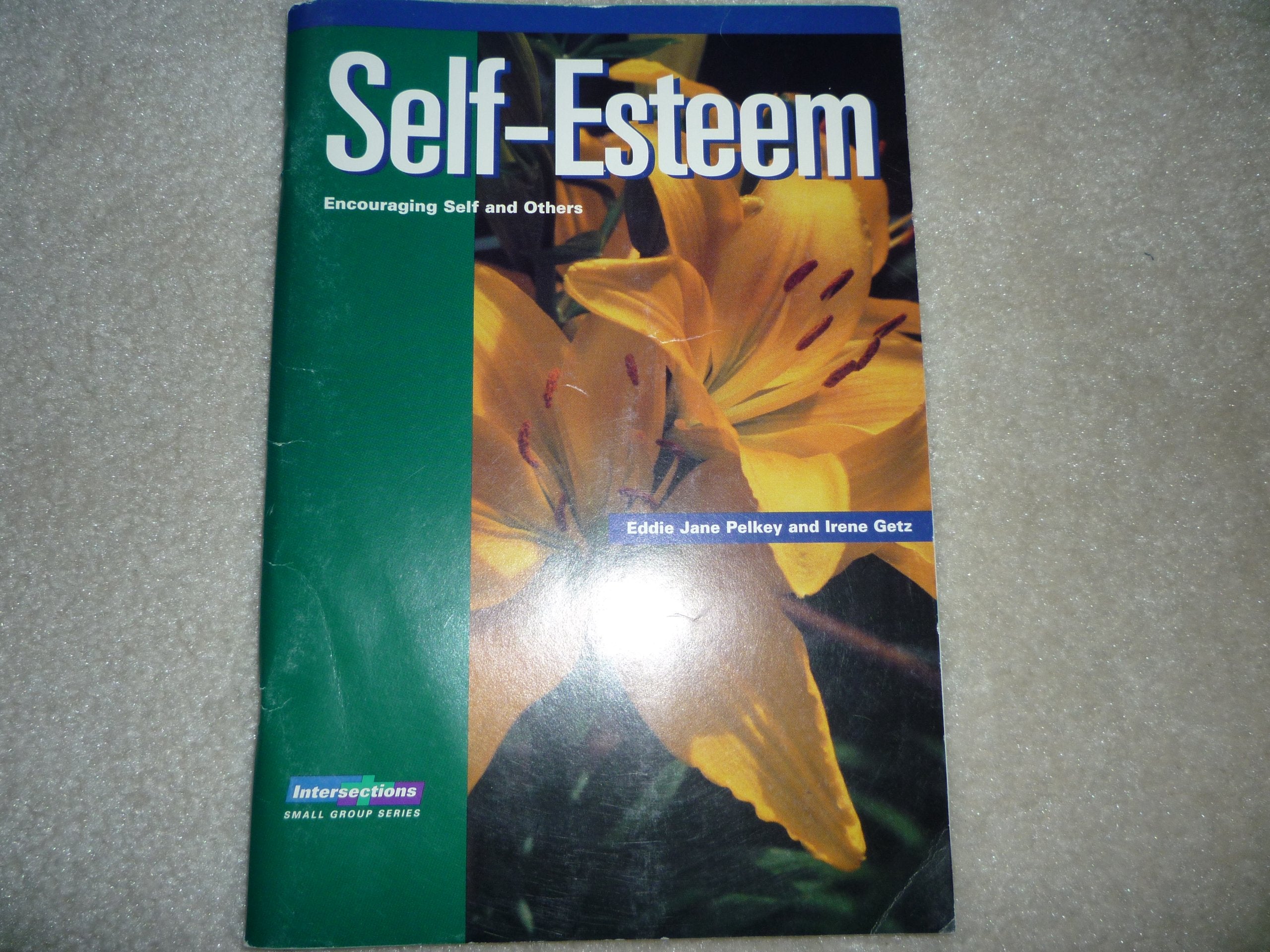 Self Esteem: Encouraging Self and Others (Intersections (Augsburg)),Used