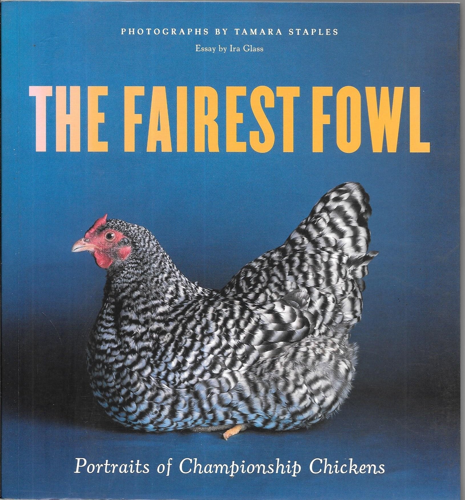 The Fairest Fowl: Portraits Of Championship Chickens