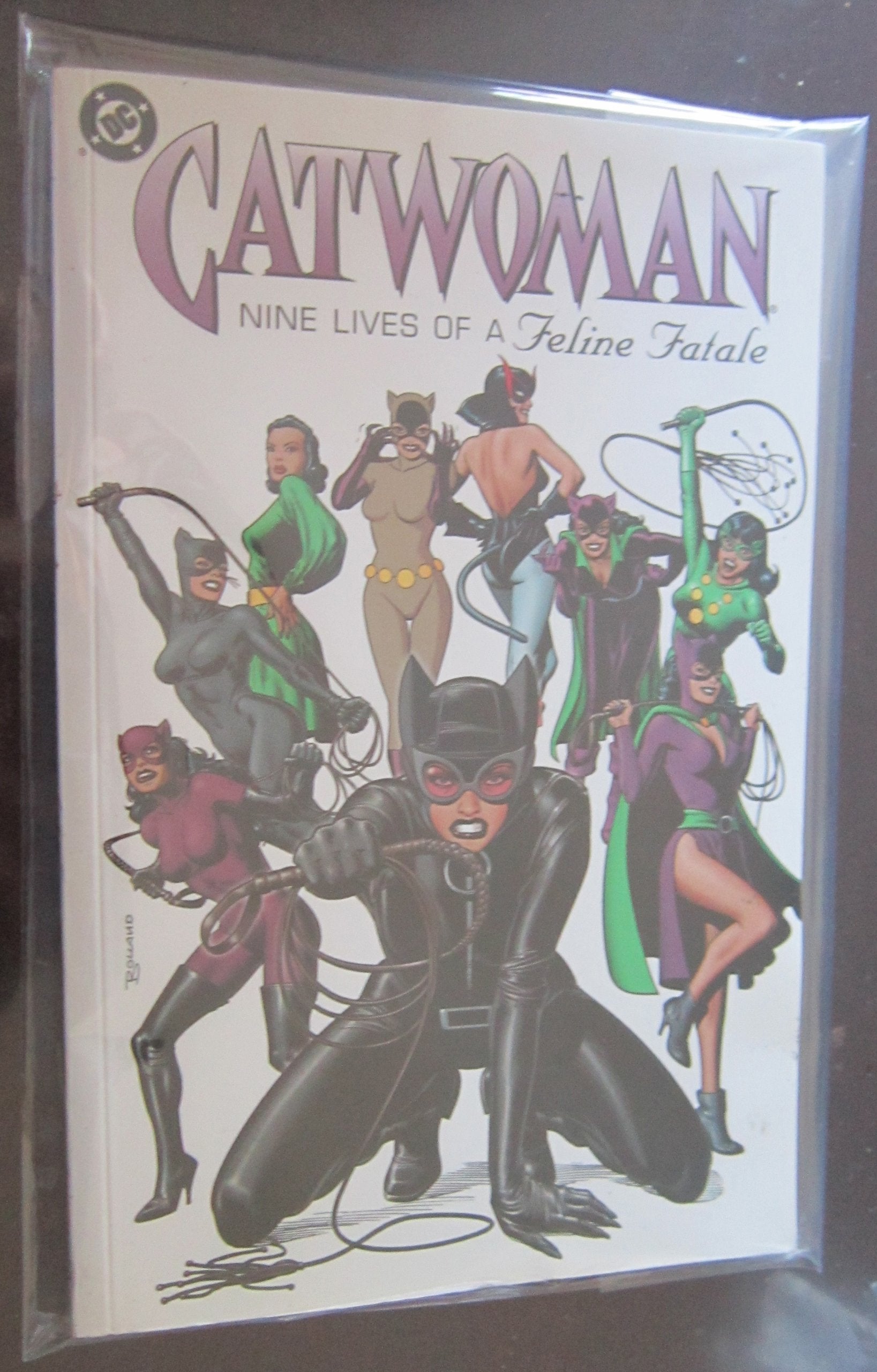 Catwoman: Nine Lives of a Feline Fatale,Used