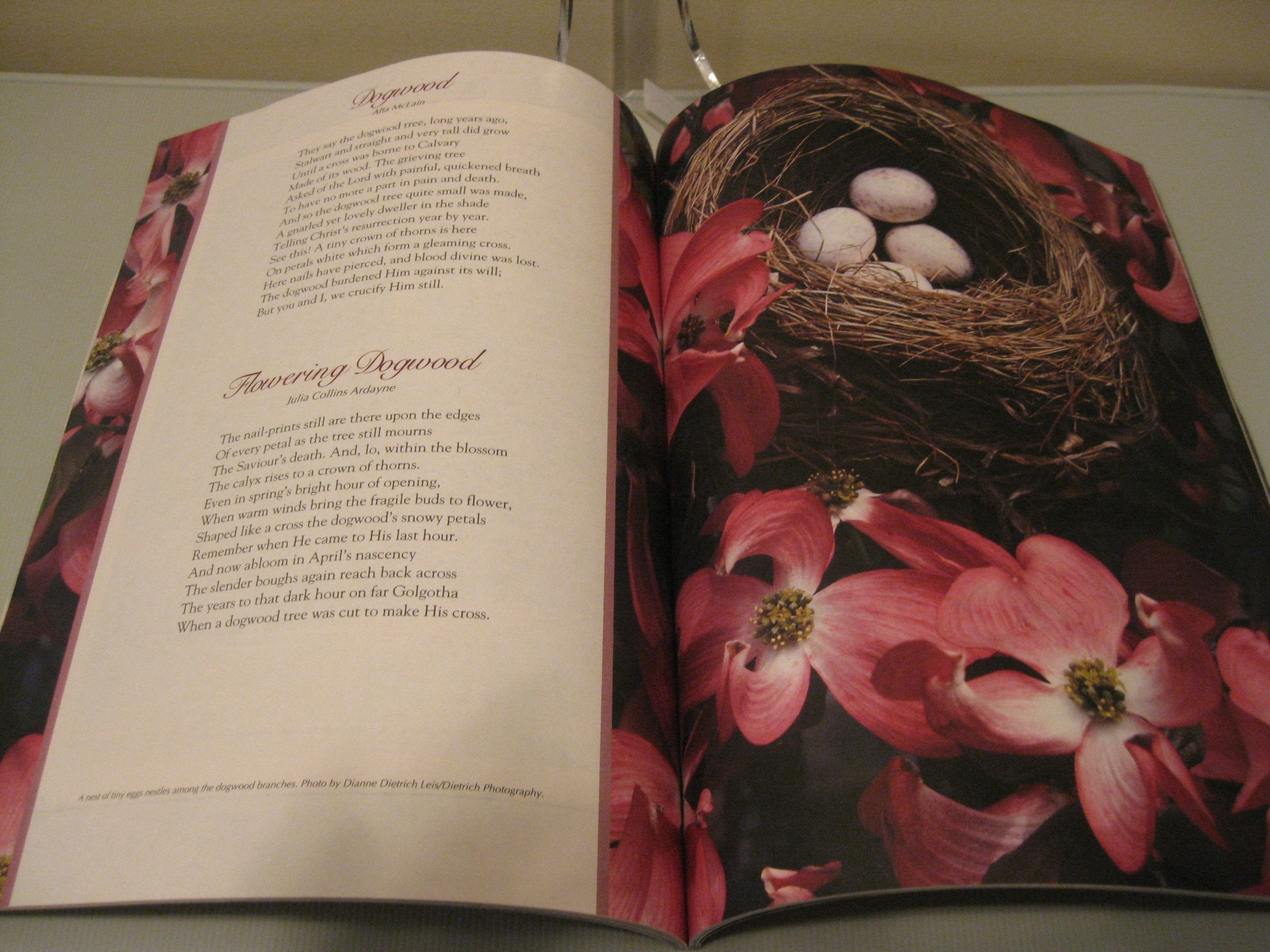 Ideals Easter: More Than 50 Years of Celebrating Life's Most Treasured Moments,Used