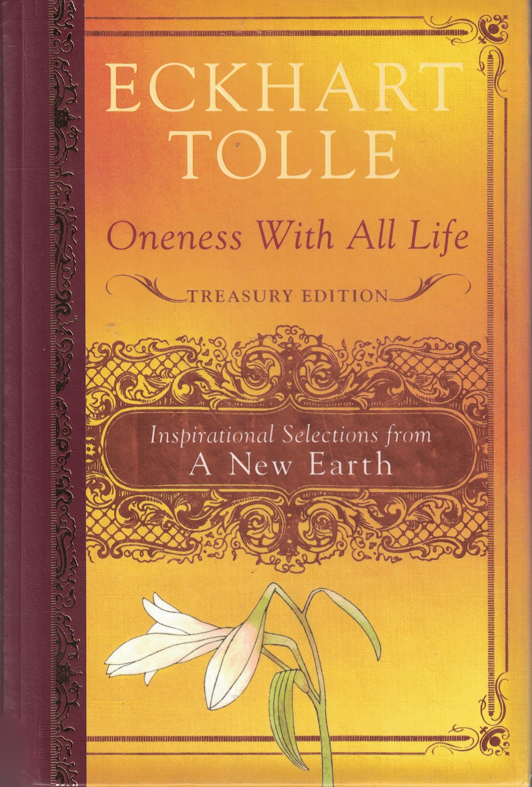 Oneness with All Life: Inspirational Selections from A New Earth,New