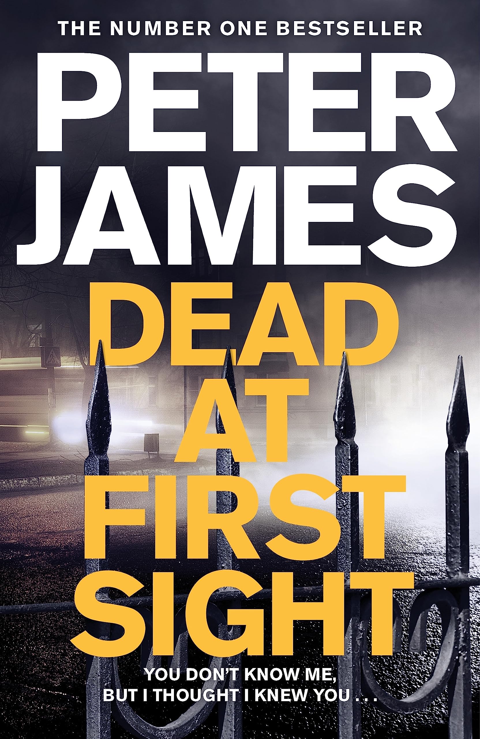 Dead at First Sight (Detective Superintendent Roy Grace, 15),Used