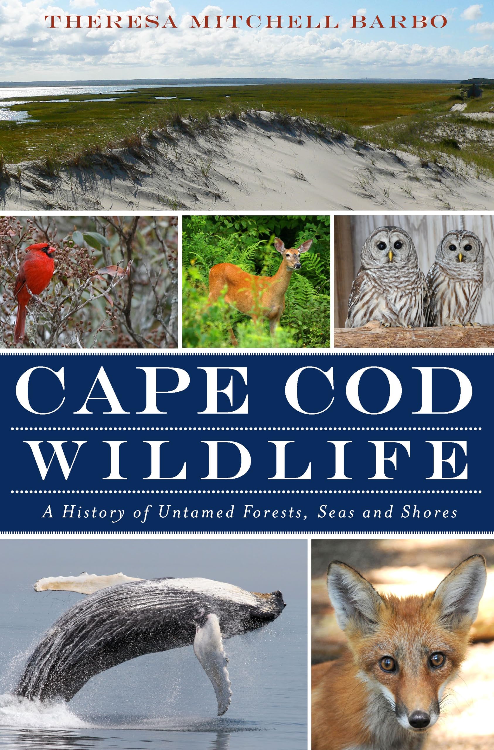 Cape Cod Wildlife:: A History of Untamed Forests, Seas and Shores,Used