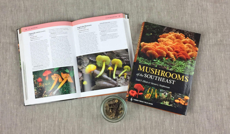 Mushrooms Of The Southeast (A Timber Press Field Guide),New