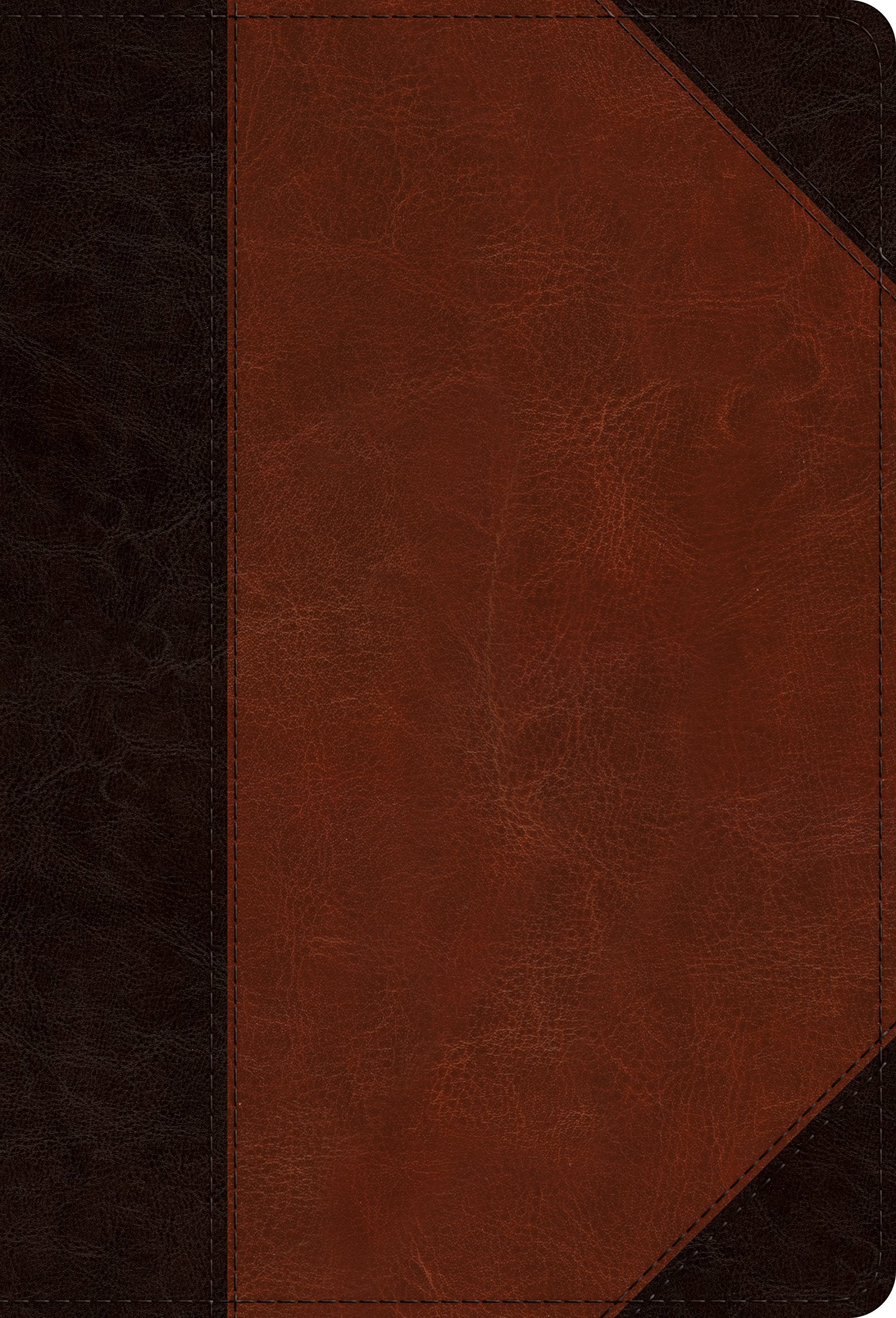 ESV Large Print Compact Bible (TruTone, Brown/Cordovan, Portfolio Design),Used
