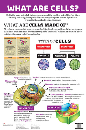 Charts: What Are Cells? Charts (Educational Charts For Kids)