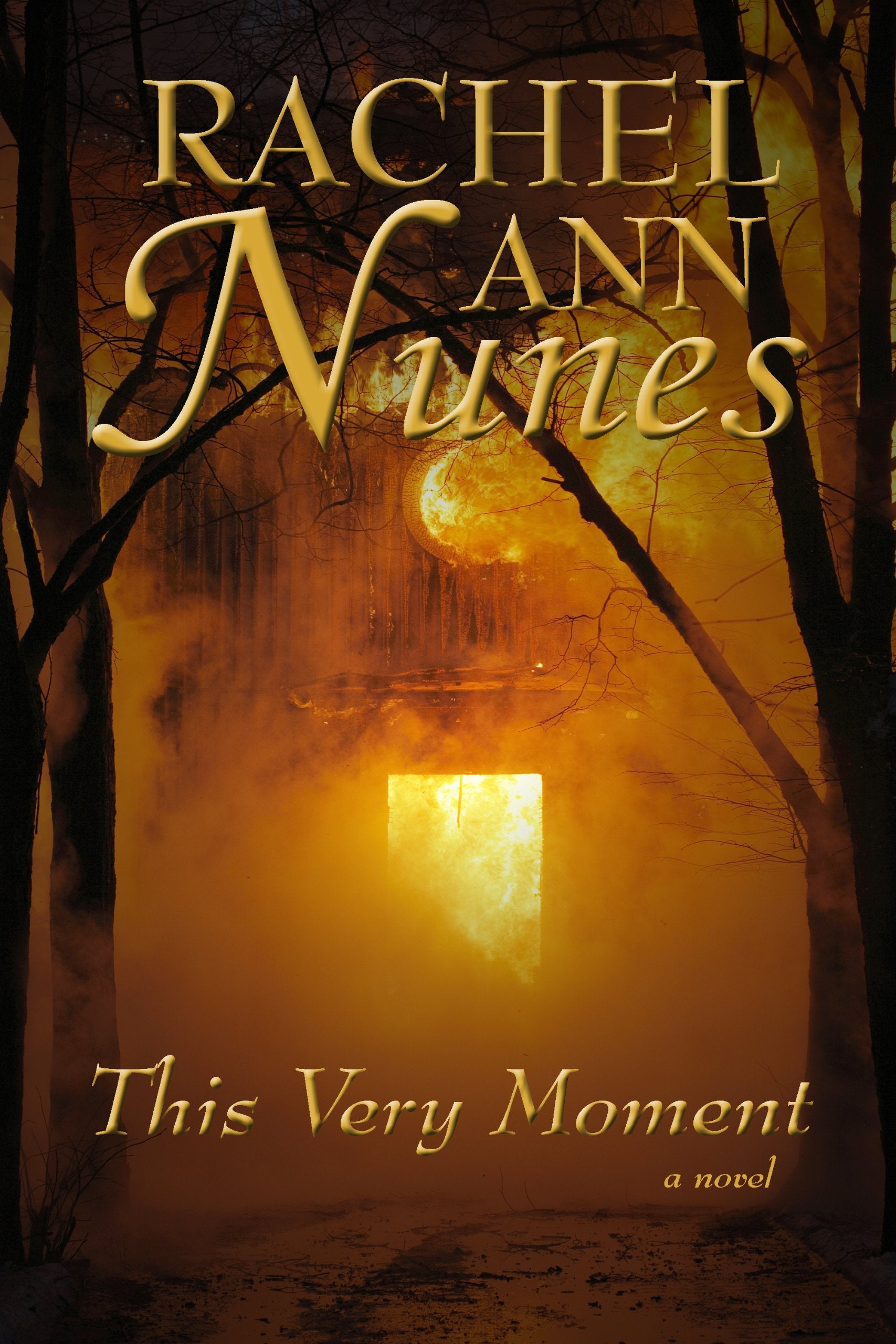 This Very Moment: A Novel,Used