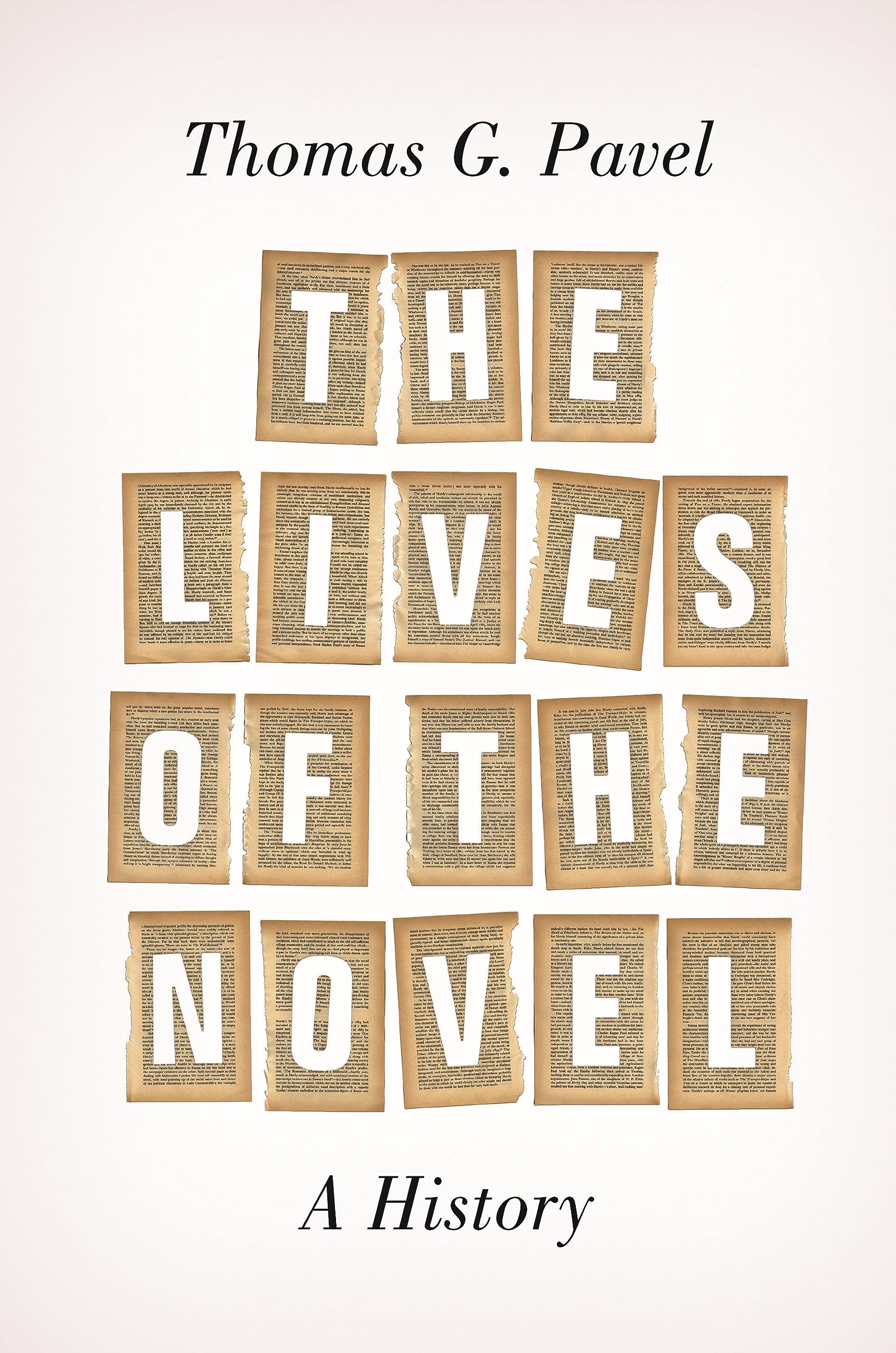The Lives of the Novel: A History,Used