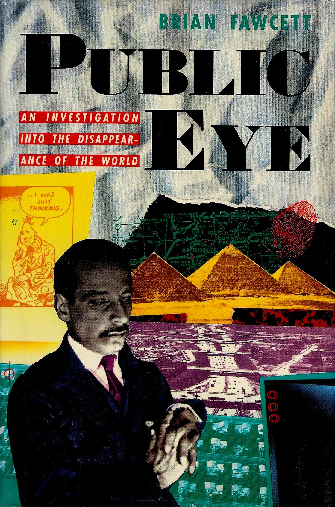 Public Eye: An Investigation into the Disappearance of the World,Used