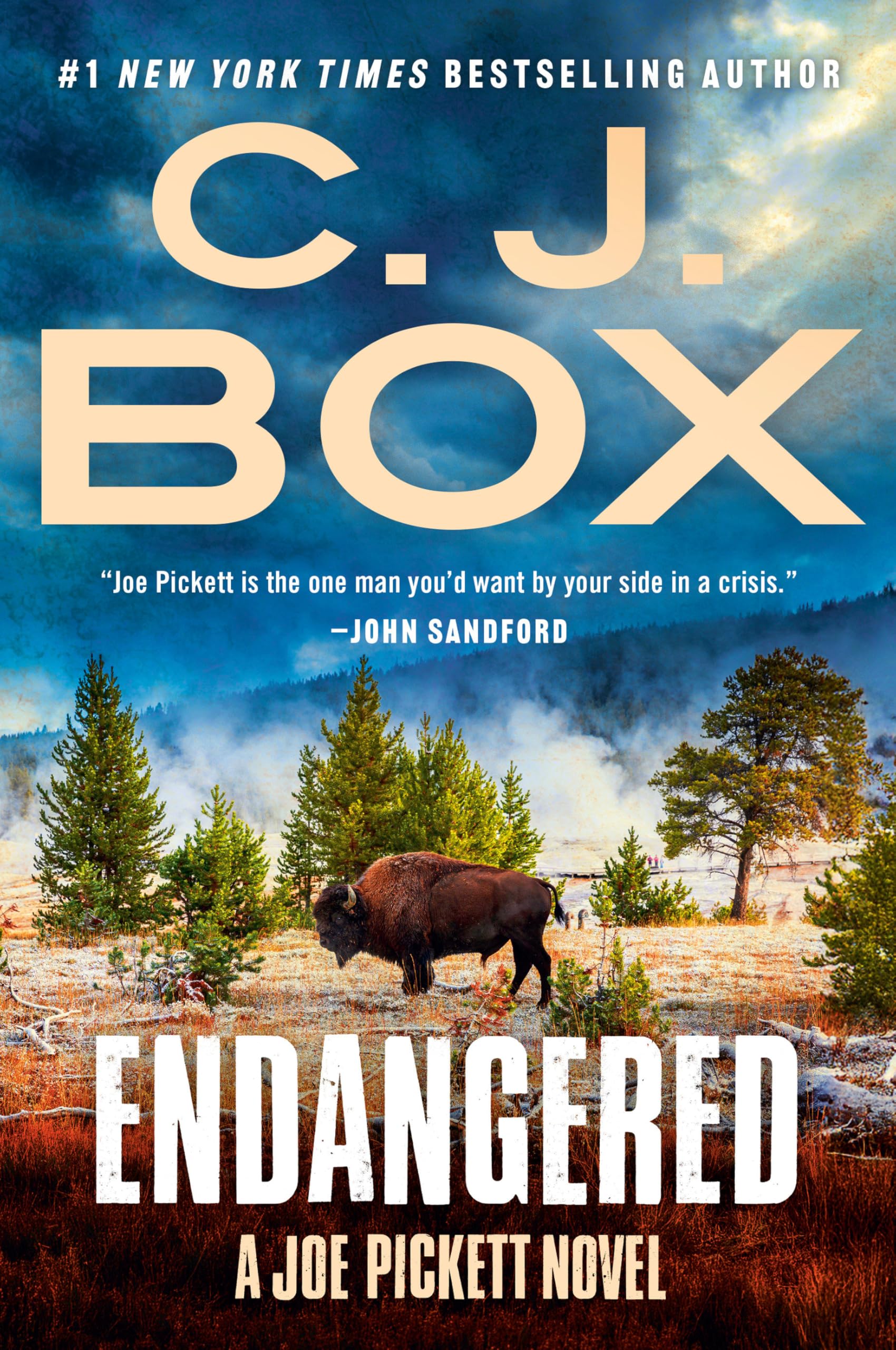 Endangered (A Joe Pickett Novel)