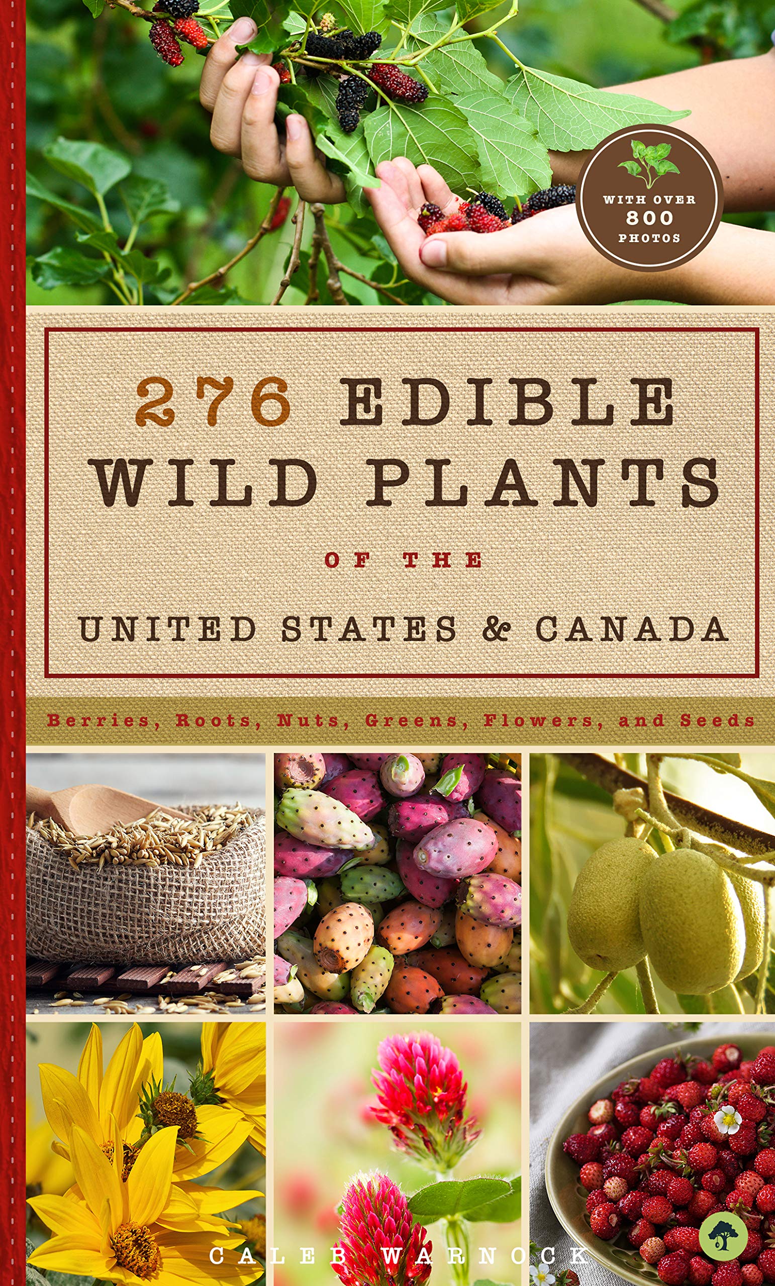 276 Edible Wild Plants Of The United States And Canada: Berries, Roots, Nuts, Greens, Flowers, And Seeds In All Or The Majority
