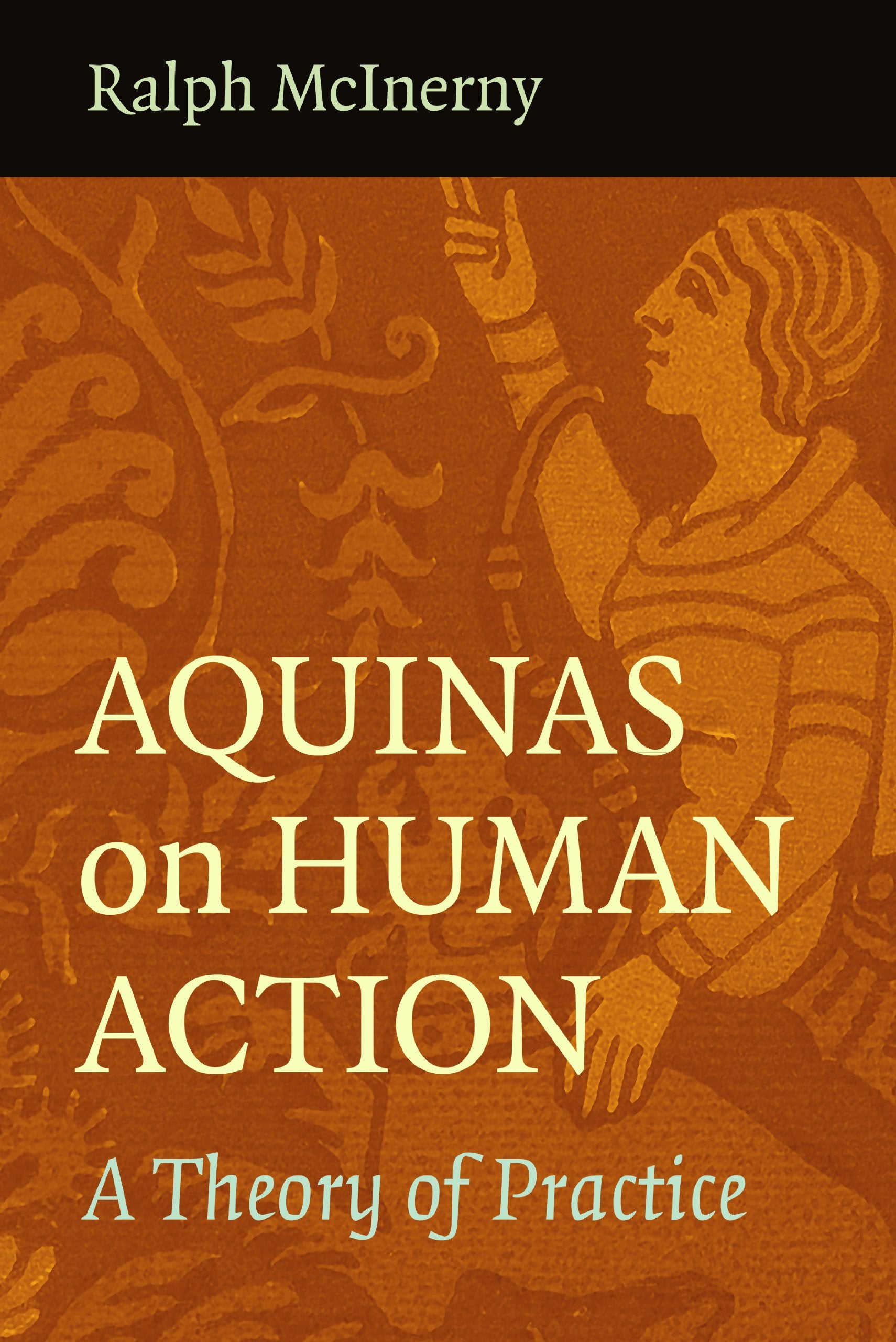 Aquinas On Human Action: A Theory Of Practice,Used
