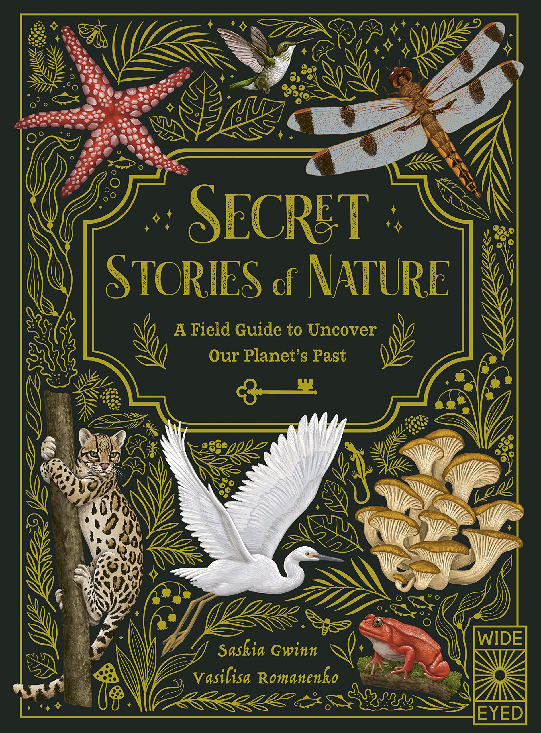 Secret Stories Of Nature: A Field Guide To Uncover Our Planet'S Past,Used
