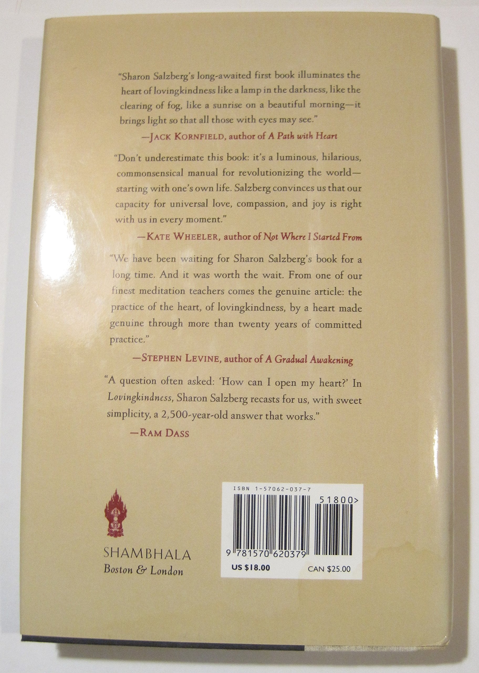 LovingKindness: The Revolutionary Art of Happiness,Used