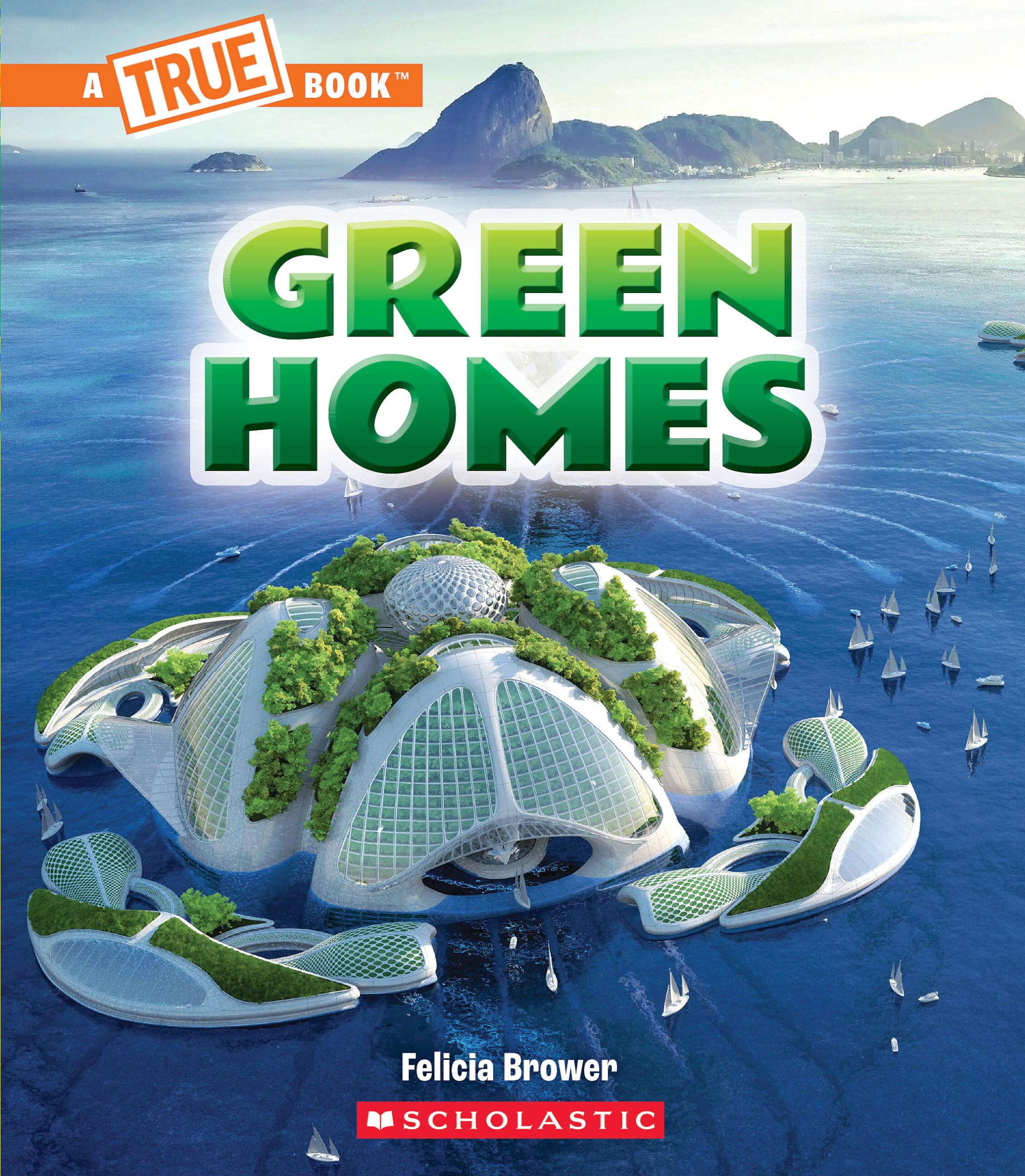 Green Homes (A True Book: A Green Future) (A True Book (Relaunch)),Used