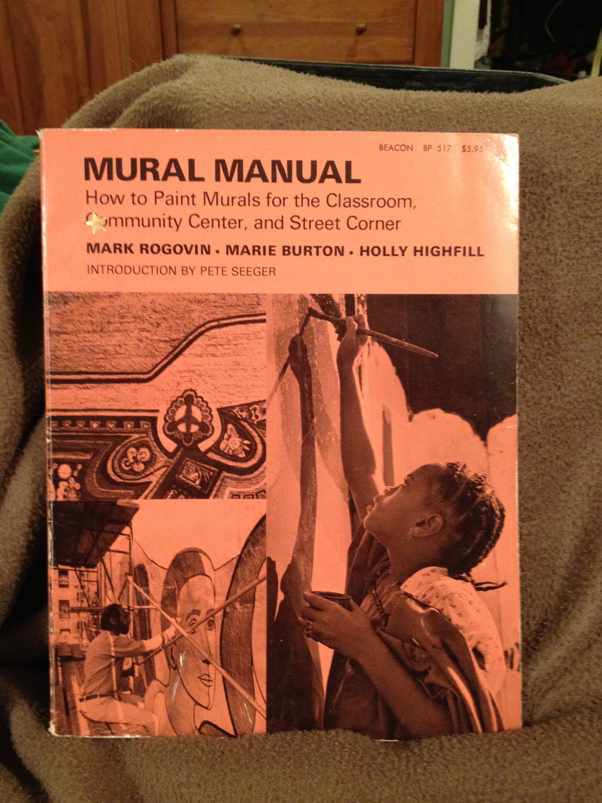 Mural Manual How to Paint Murals for the Classroom,Used