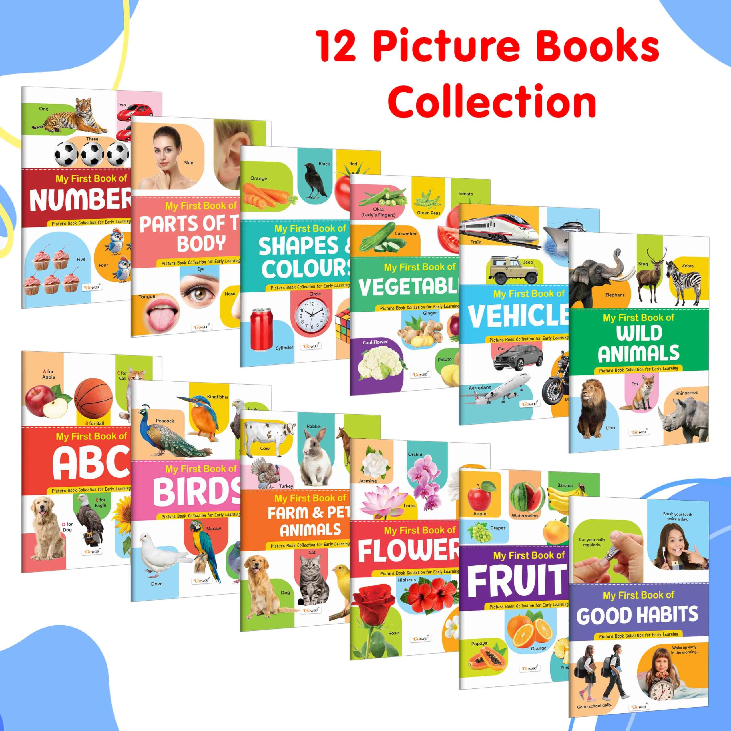 Lkg Class Picture Book : Books For Children, All In One Essential Book, Gift For Kids My First Picture Book Collection For Early Learning With 12 Topics, Gift For Birthday