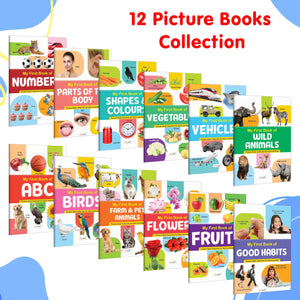 Lkg Class Picture Book : Books For Children, All In One Essential Book, Gift For Kids My First Picture Book Collection For Early Learning With 12 Topics, Gift For Birthday