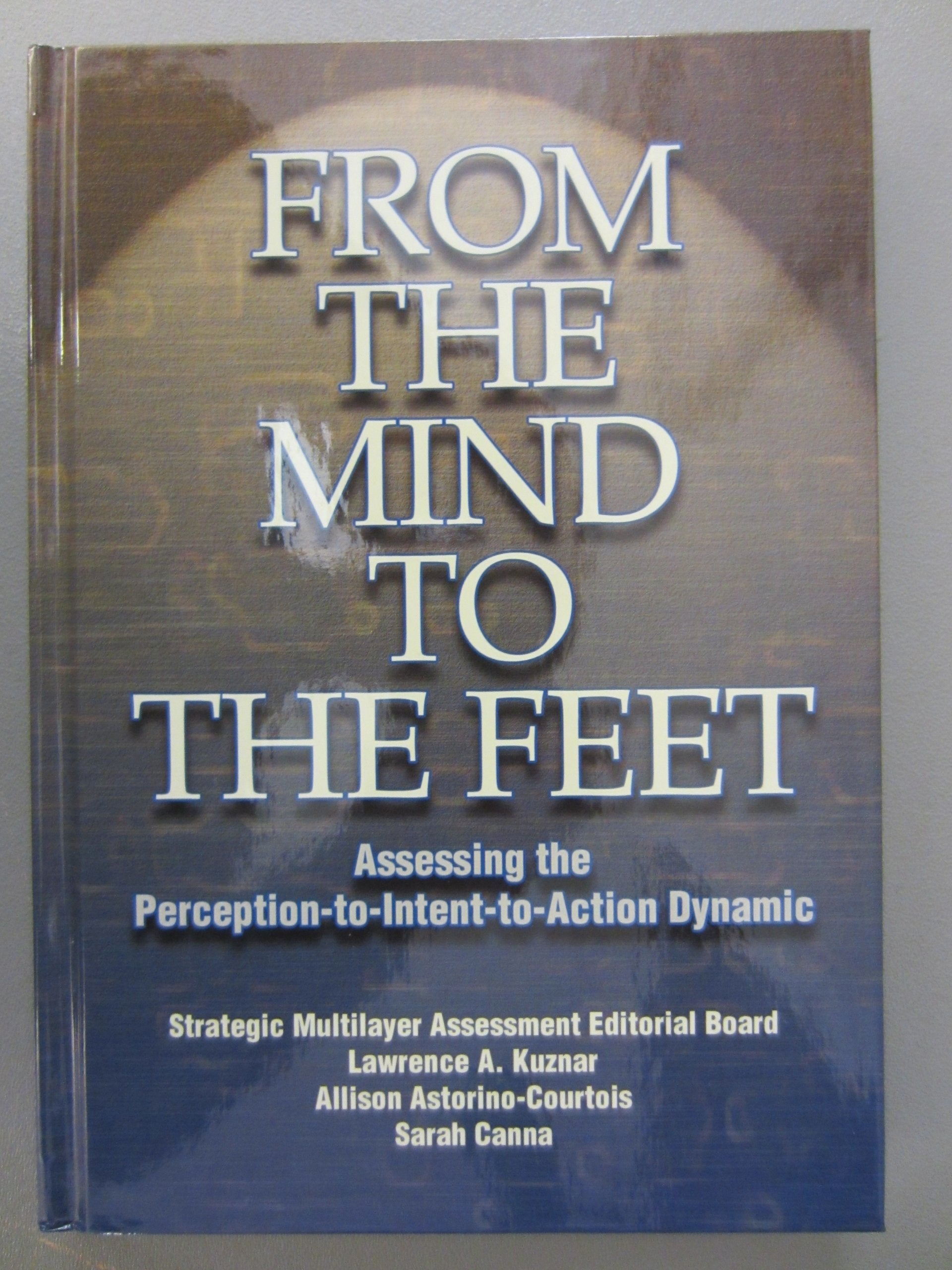 From The Mind To The Feet: Assessing The Perceptionto Intenttoaction Dynamic,Used