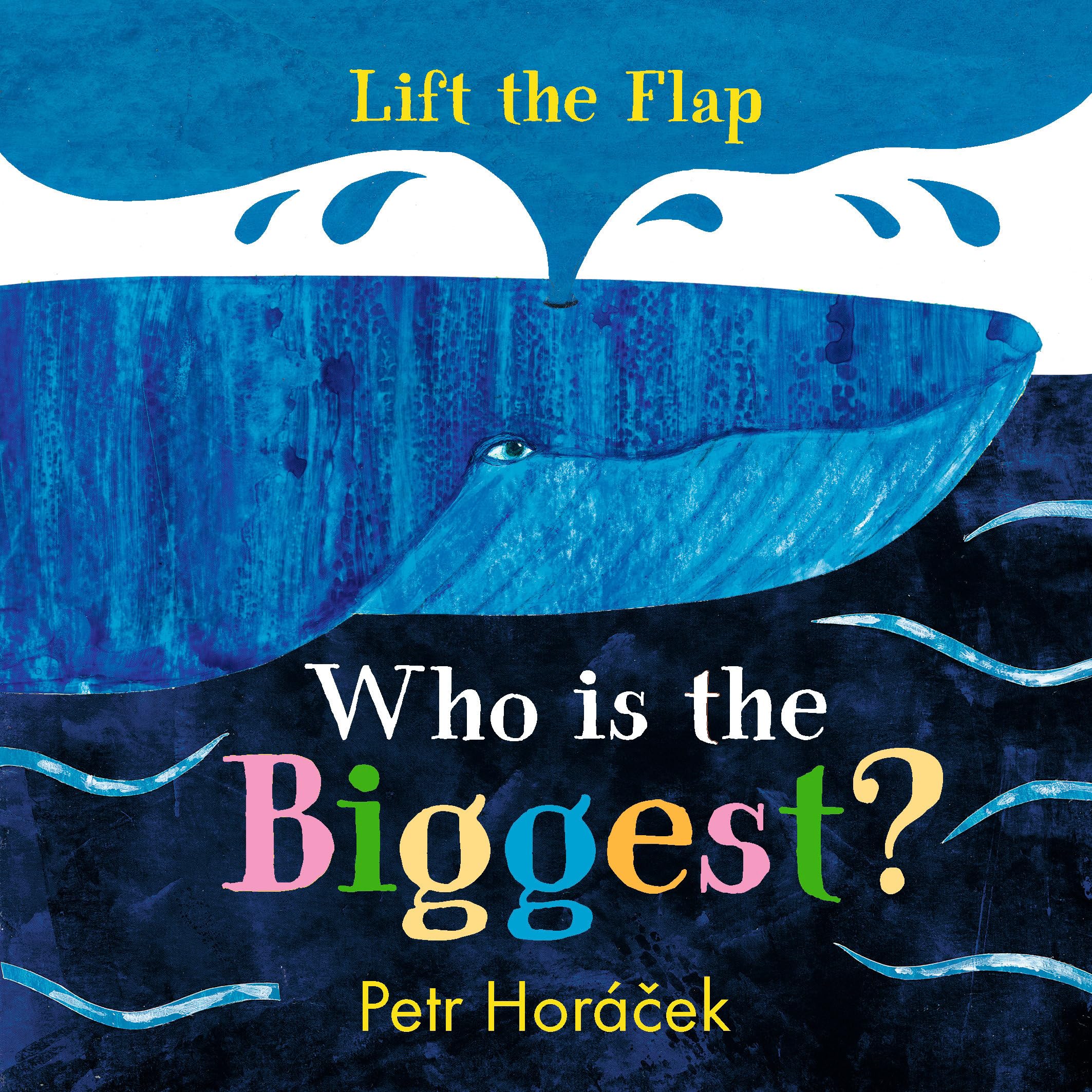 Who Is the Biggest?,Used