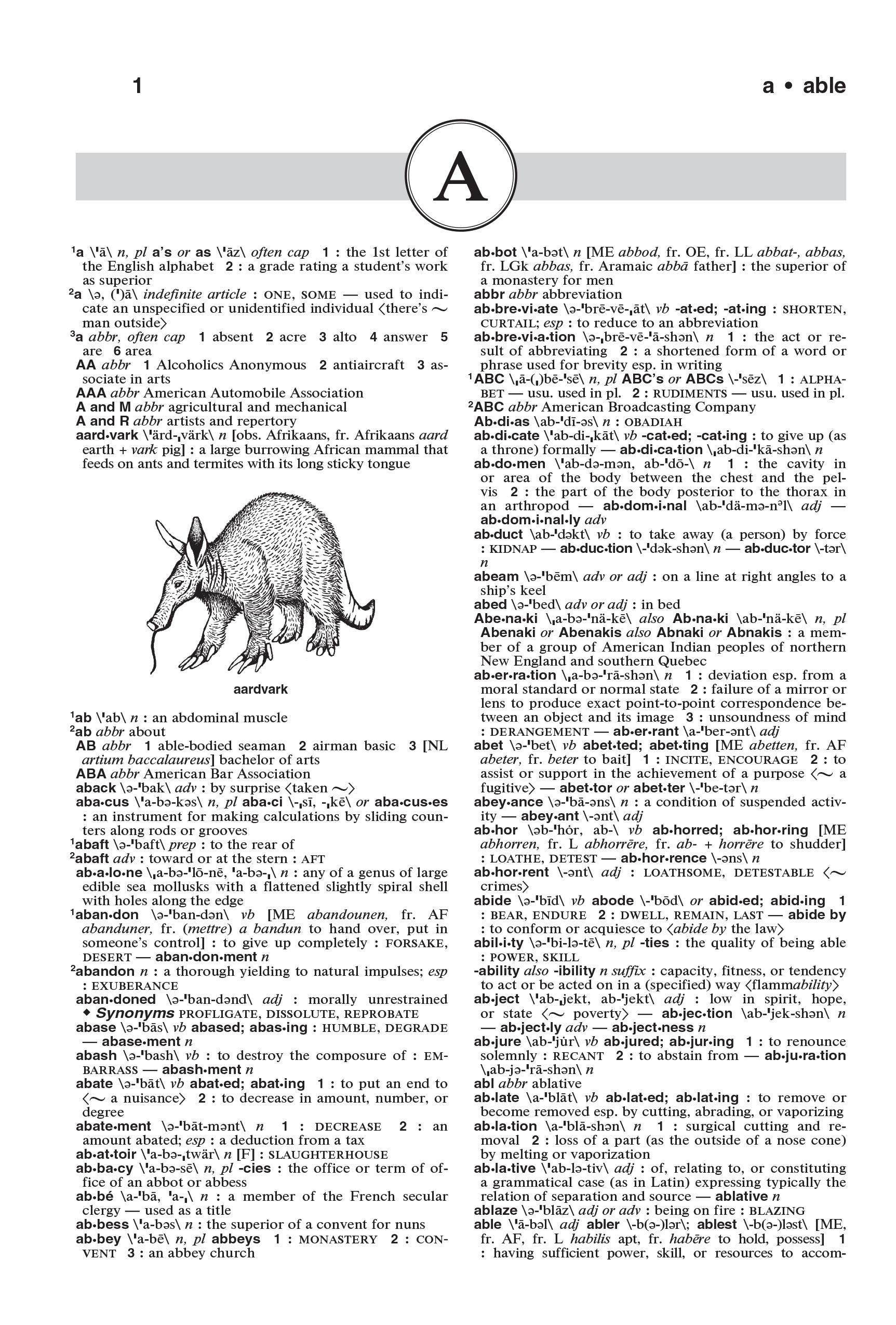 The MerriamWebster Dictionary, Trade Paperback, Newest Edition,New