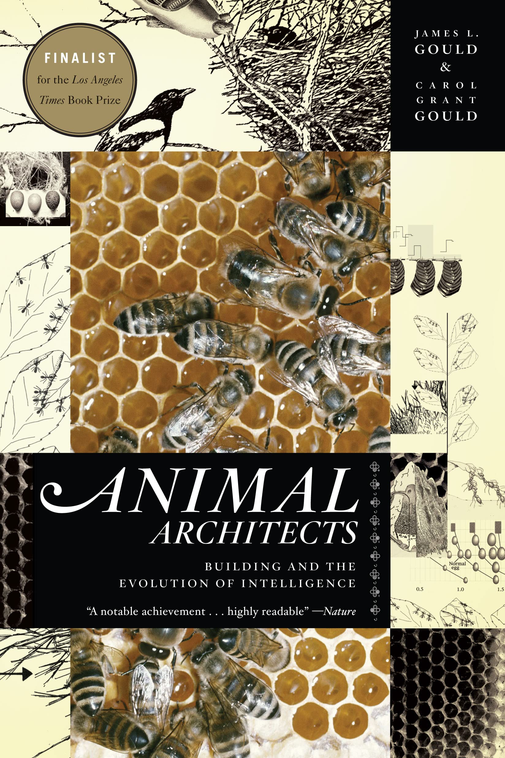 Animal Architects: Building And The Evolution Of Intelligence-new