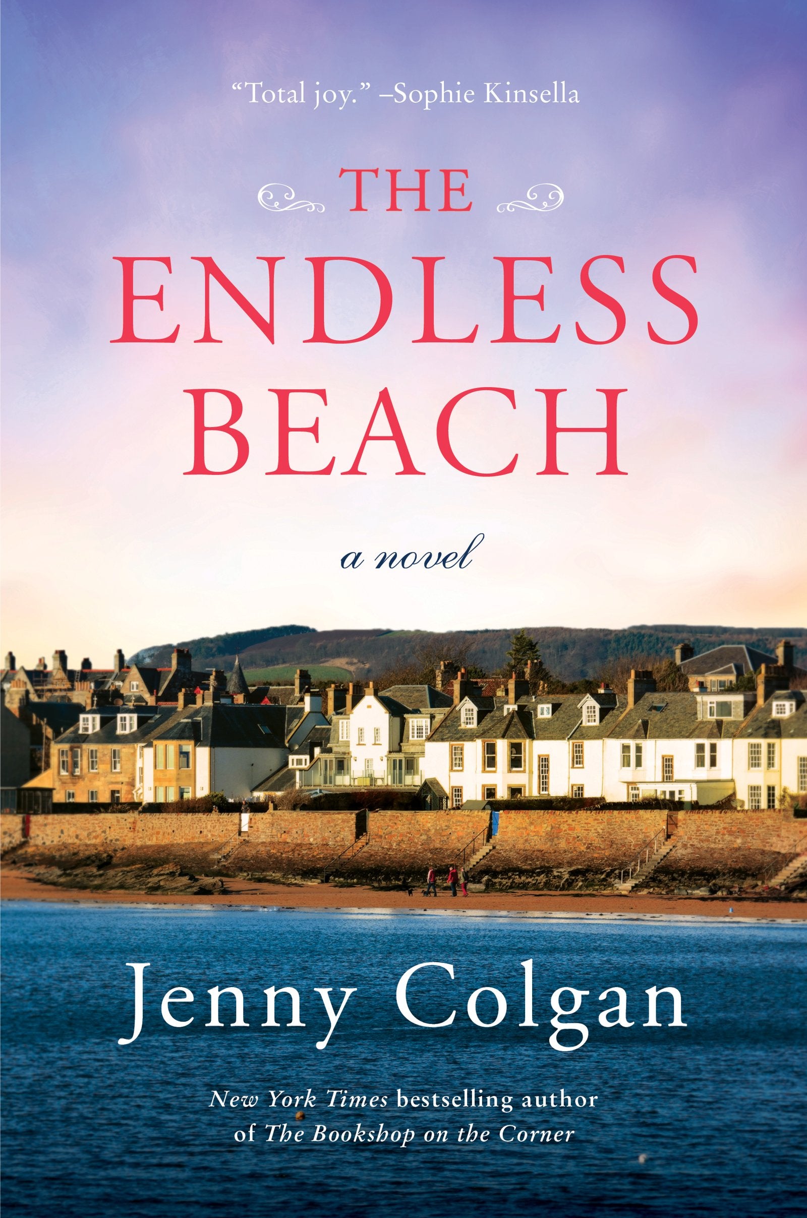 The Endless Beach: A Novel,Used