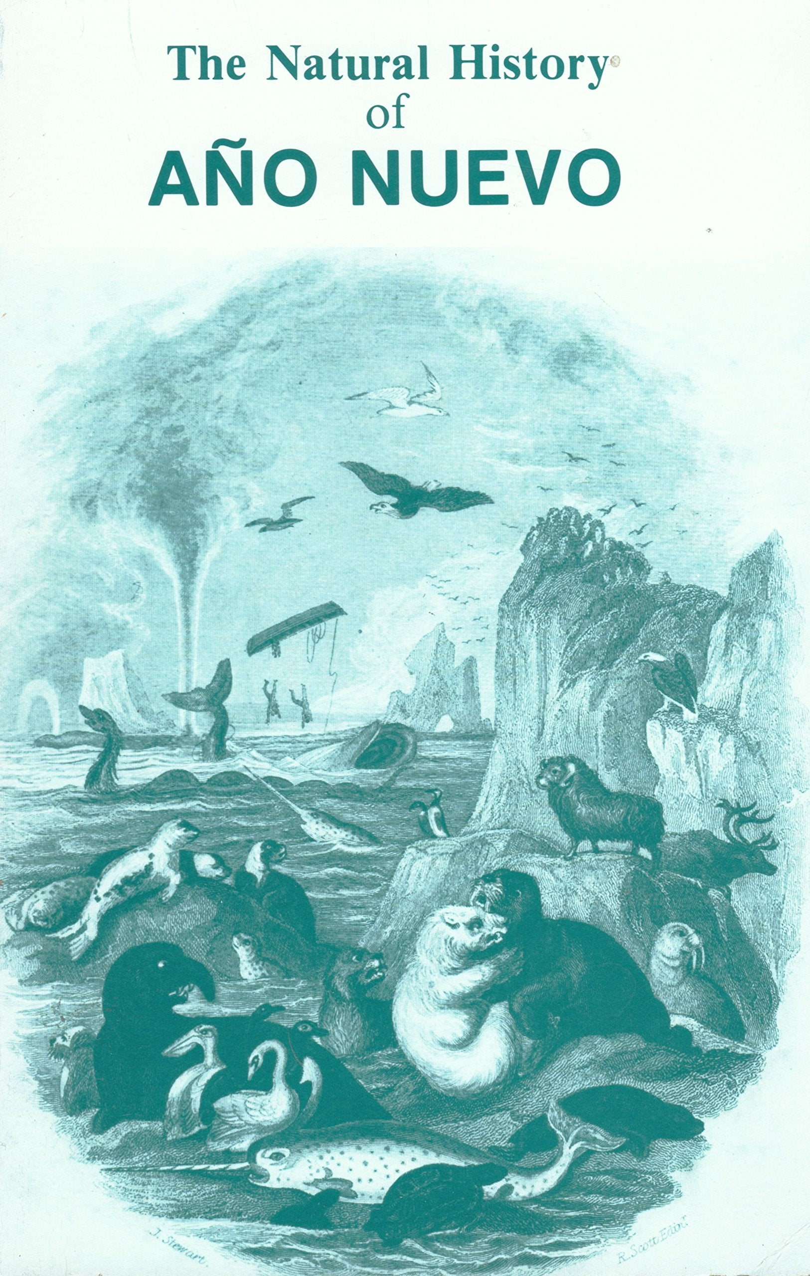 Natural History Of Ano Nuevo,Used
