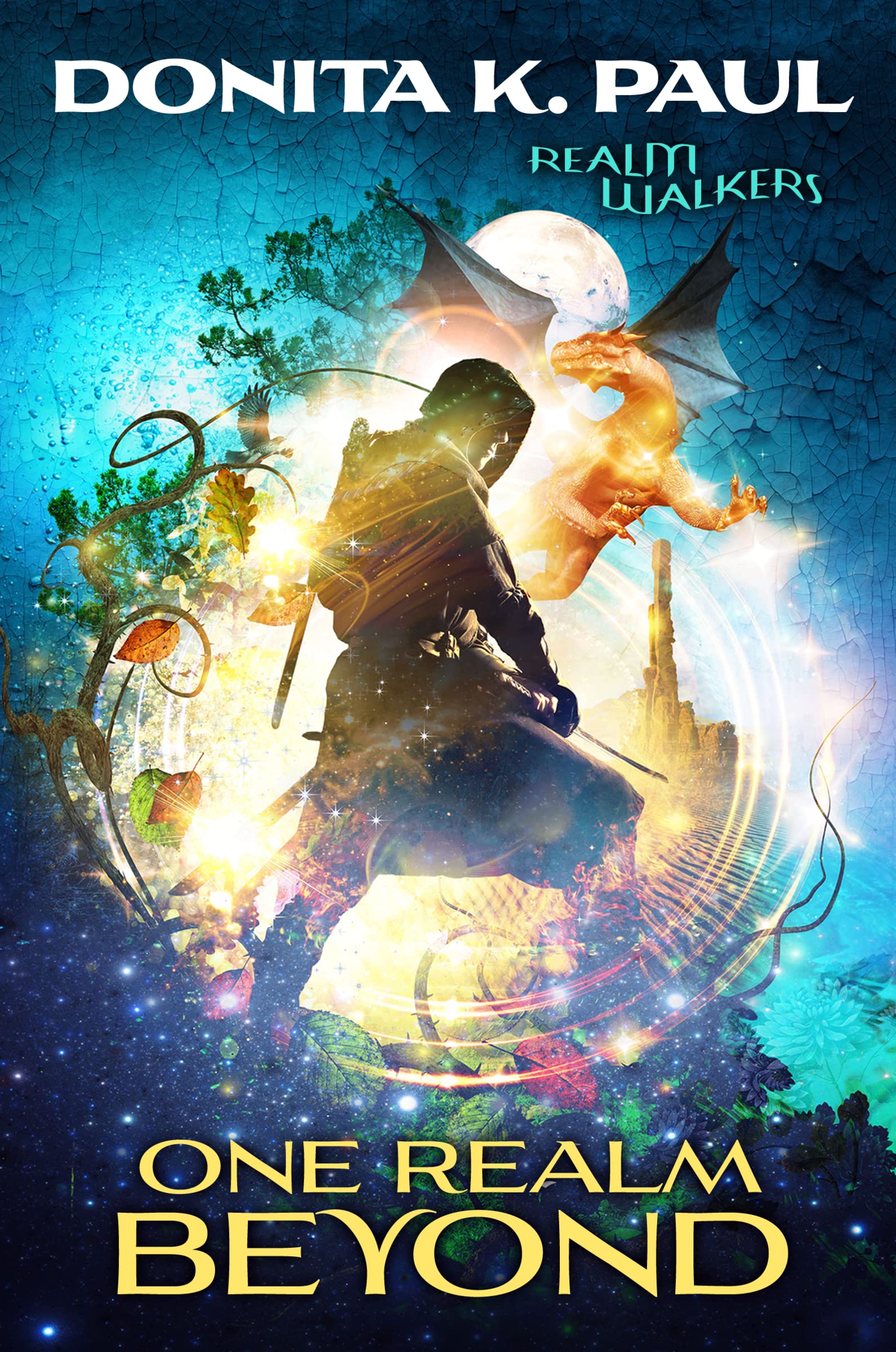One Realm Beyond (Realm Walkers),Used
