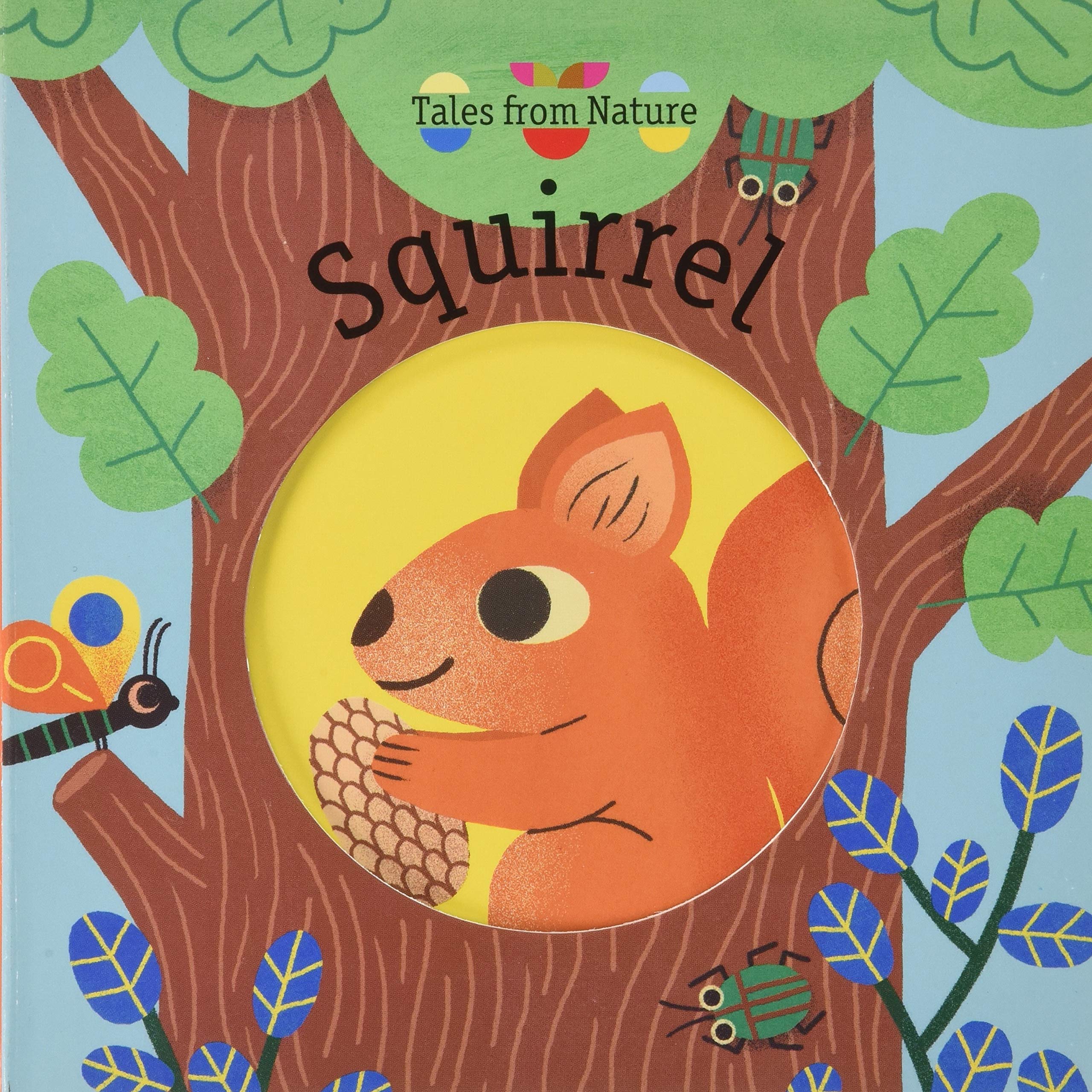 Squirrel (Tales From Nature)
