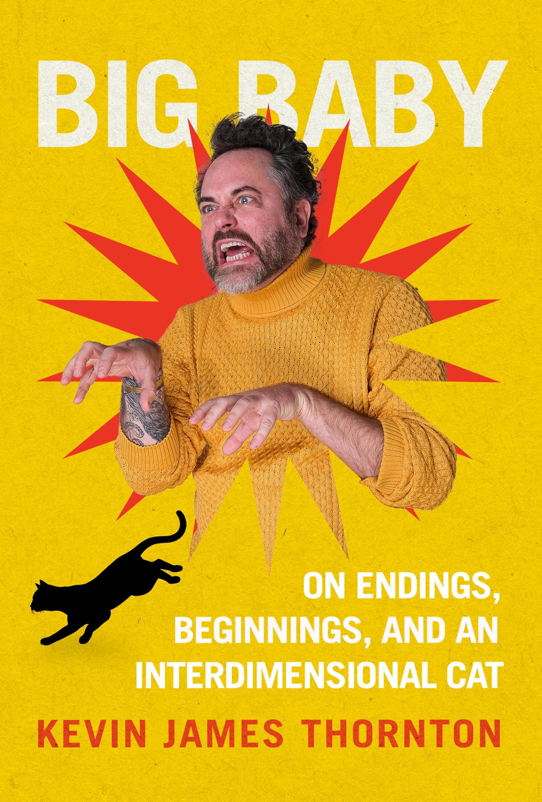 Big Baby: On Endings, Beginnings, And An Interdimensional Cat
