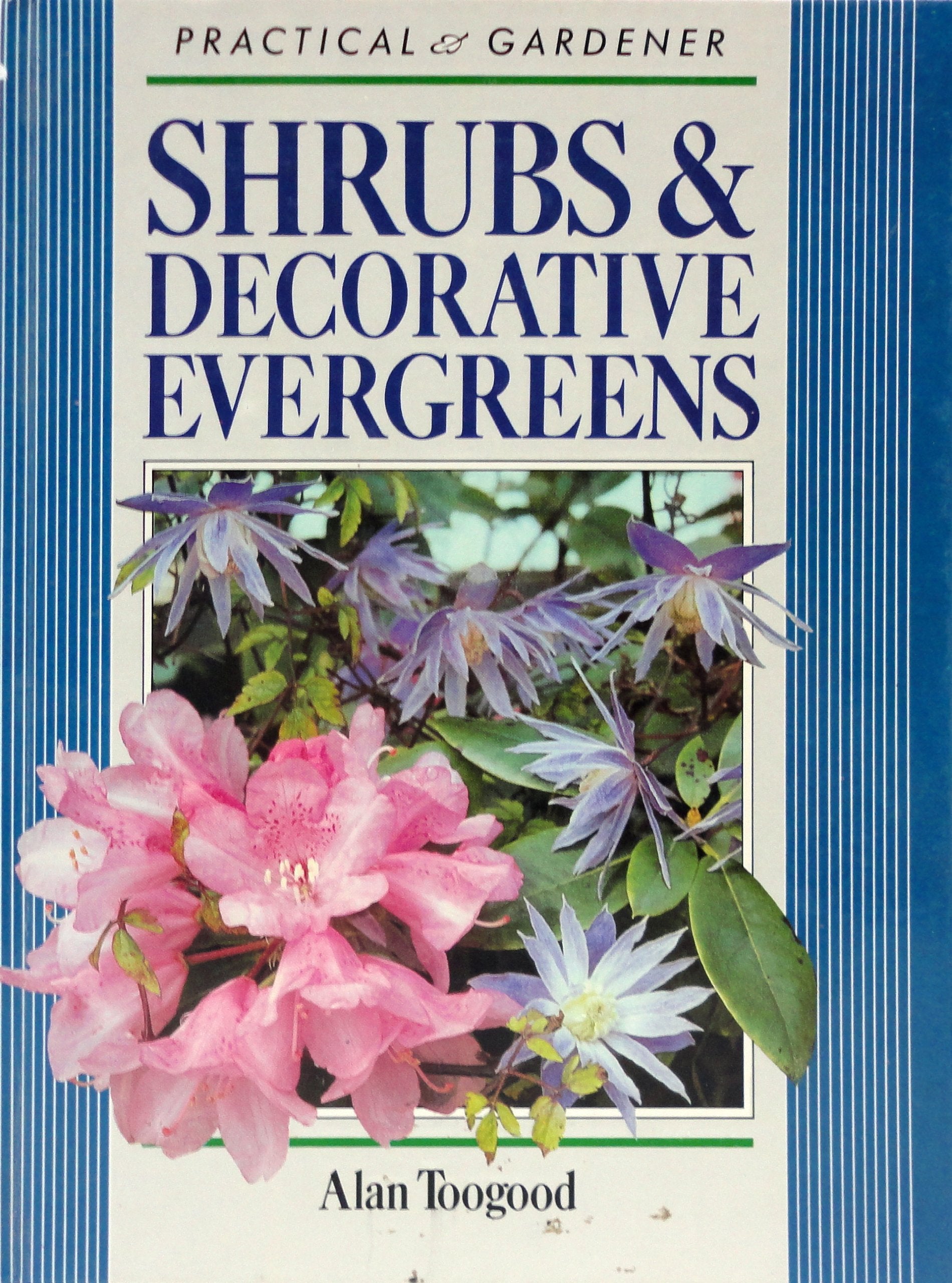 Shrubs & Decorative Evergreens (Practical Gardener Series),Used