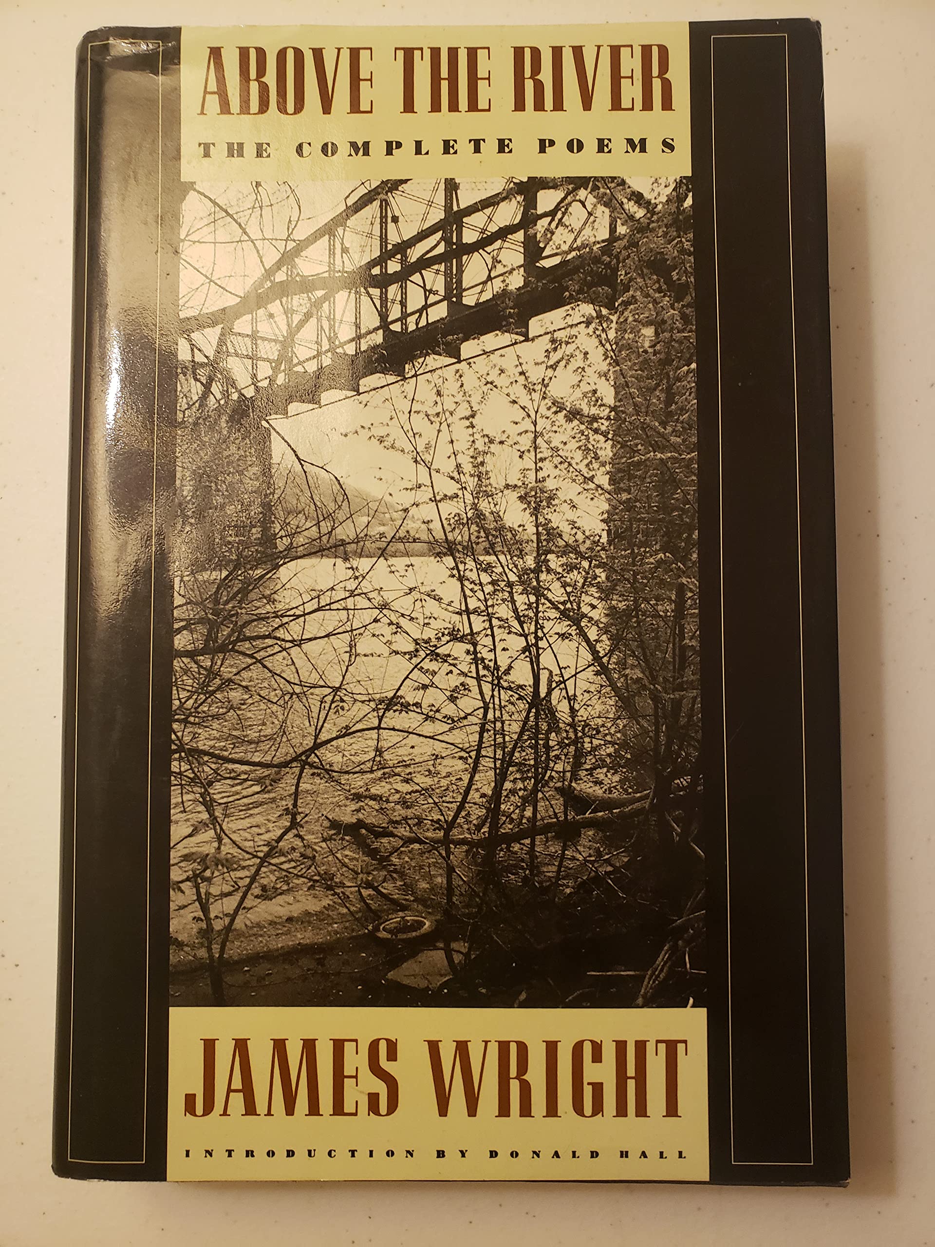 Above the River: The Complete Poems,Used