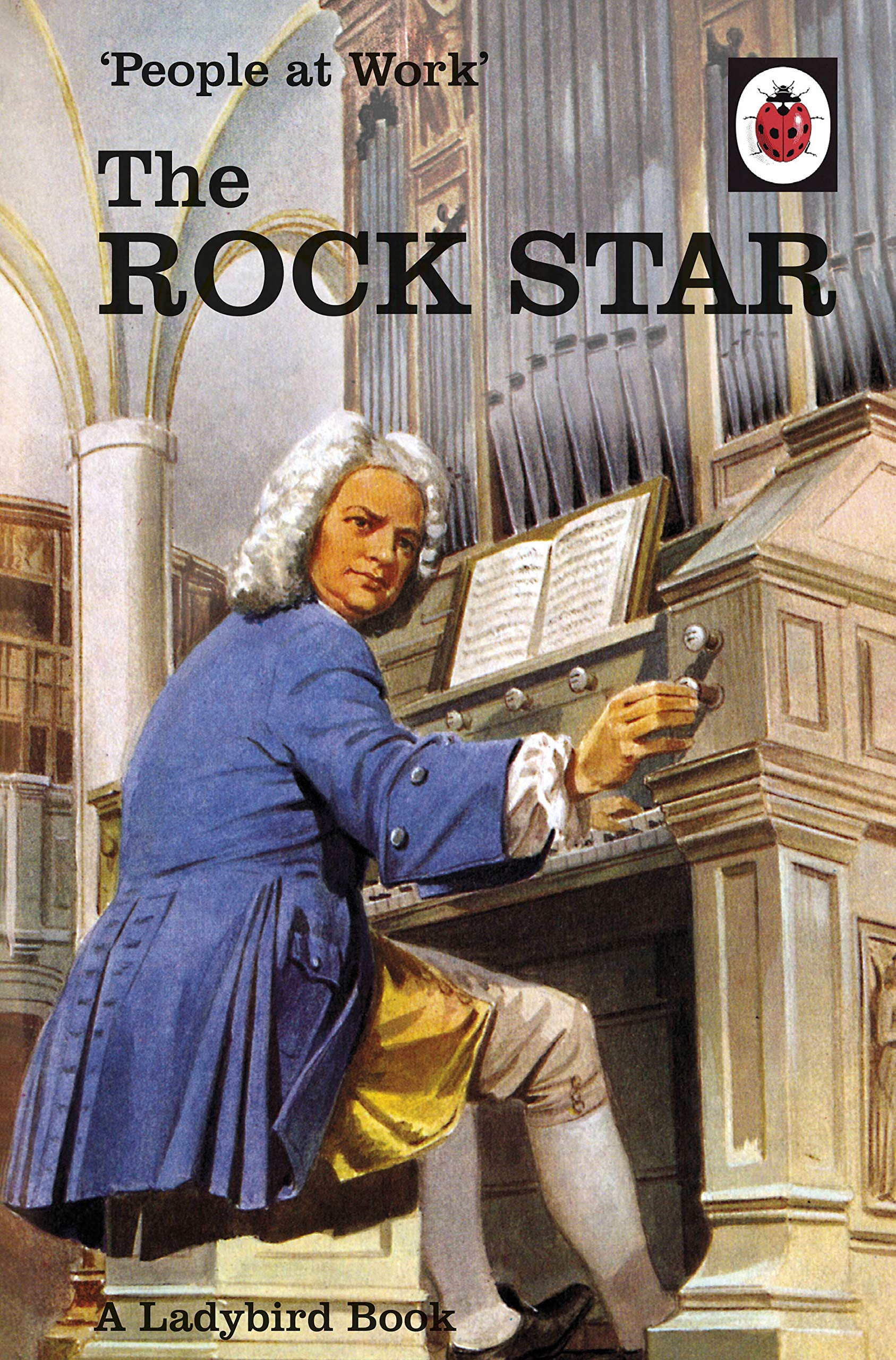 People at Work: The Rock Star (Ladybird for GrownUps),Used