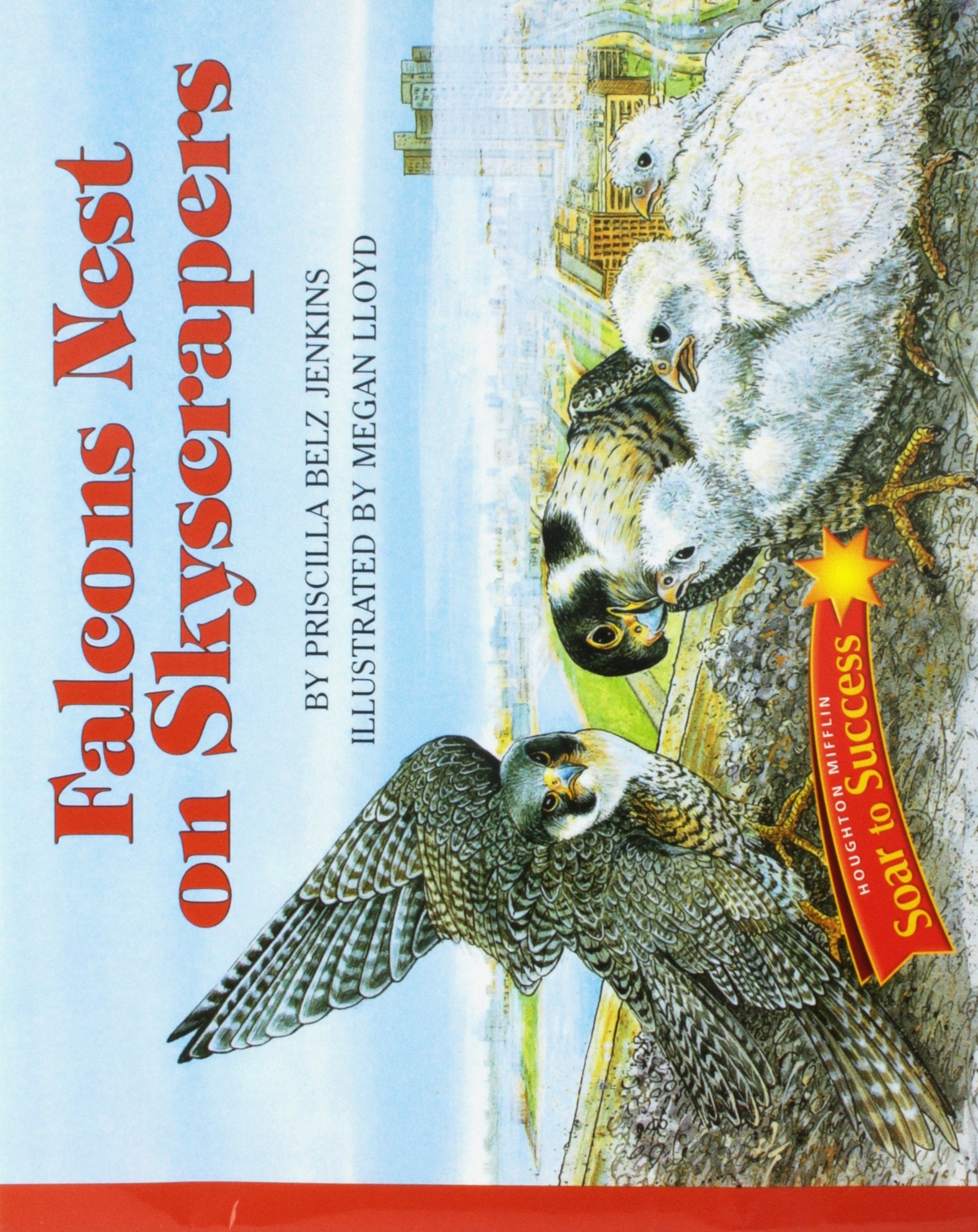 Falcons Nest on Skyscrapers (Soar to Success),Used